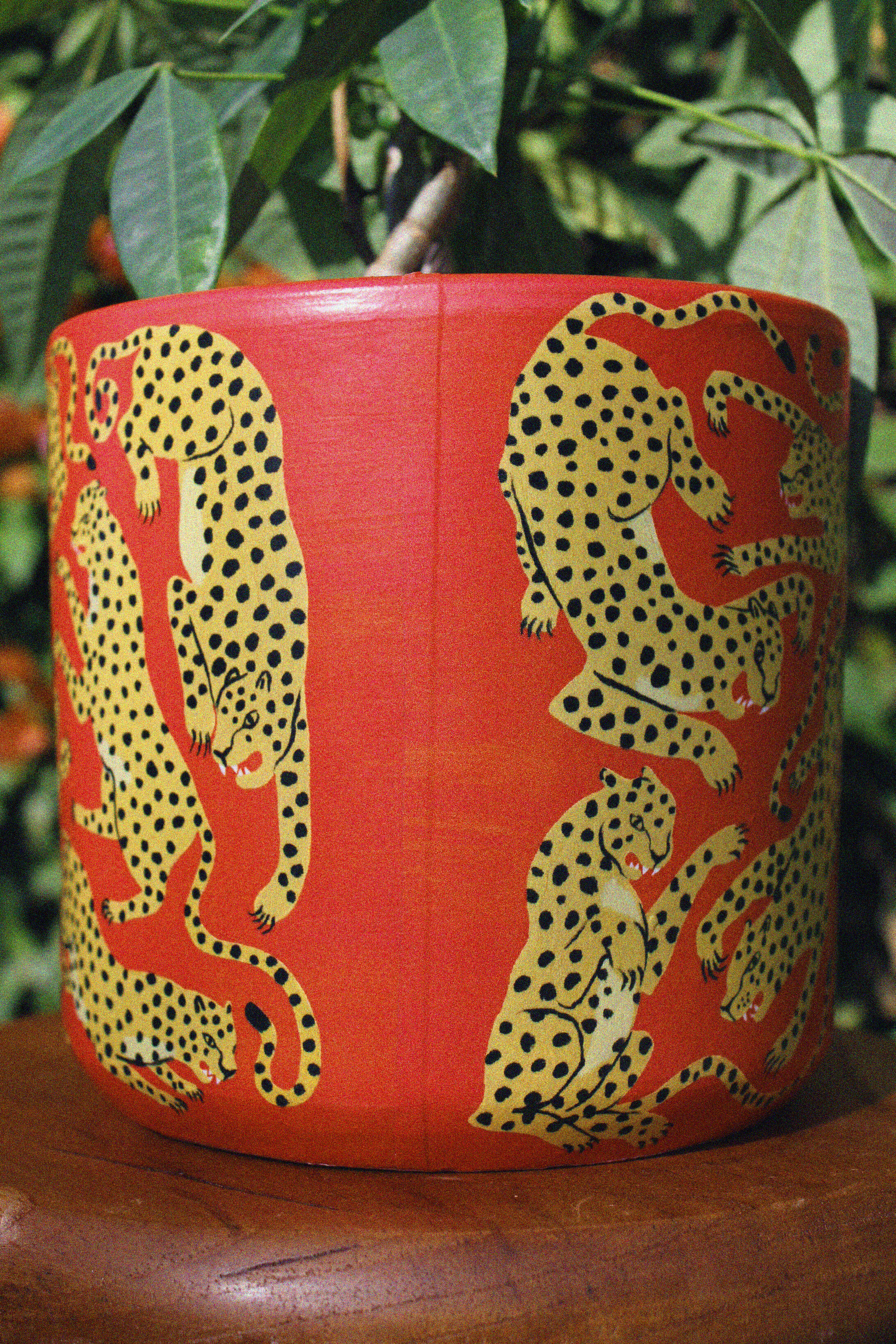 jaguar 11 seam.JPG