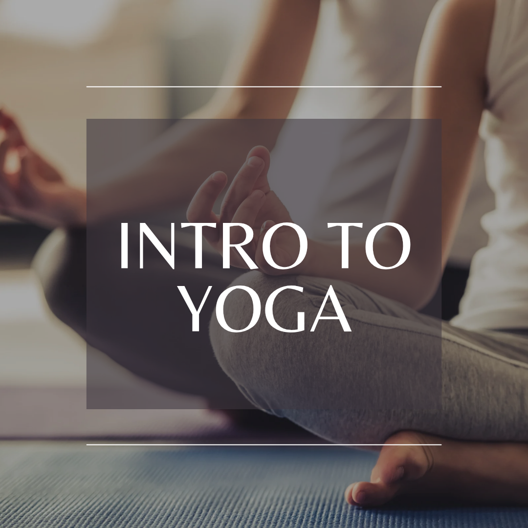 Introduction to Yoga ~ Free Class