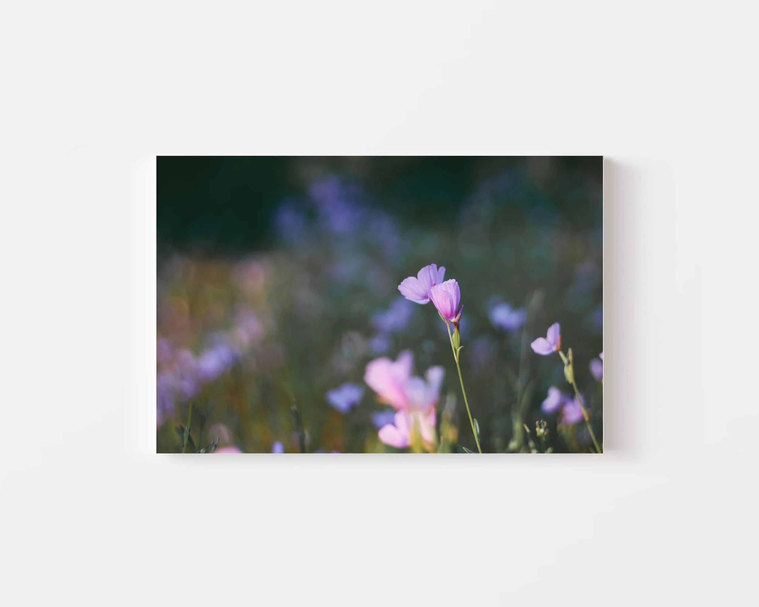Oakhurst Wildflowers Metal Print