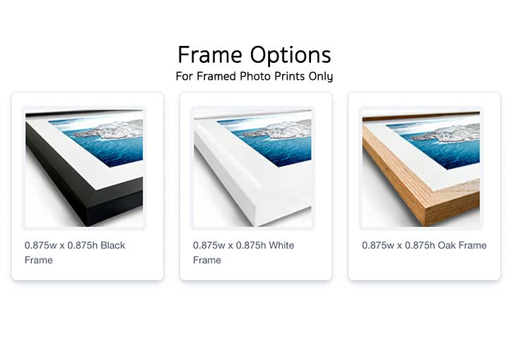 KLP Store_Frame Options.jpg