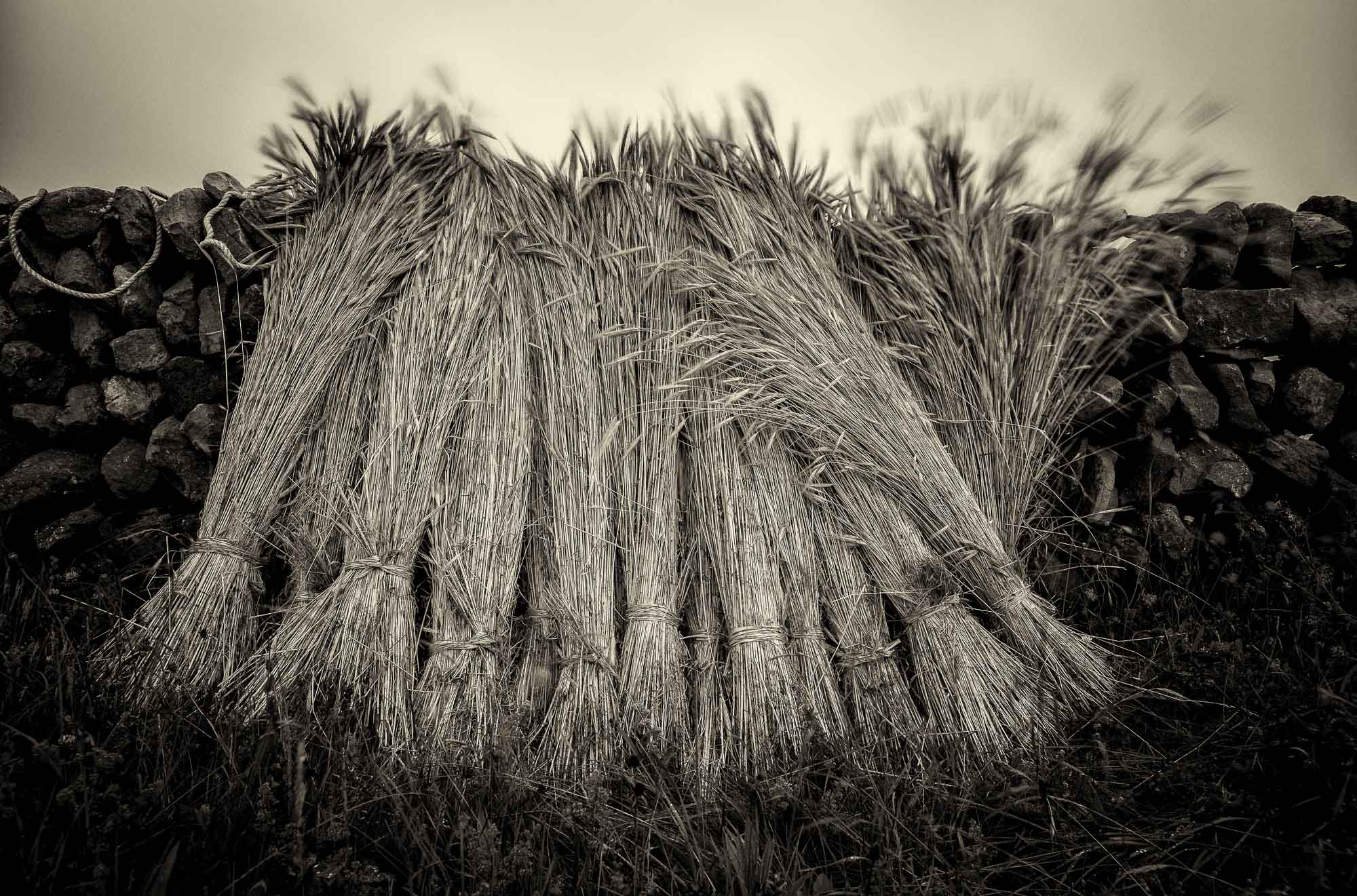 Rye sheaves with wall