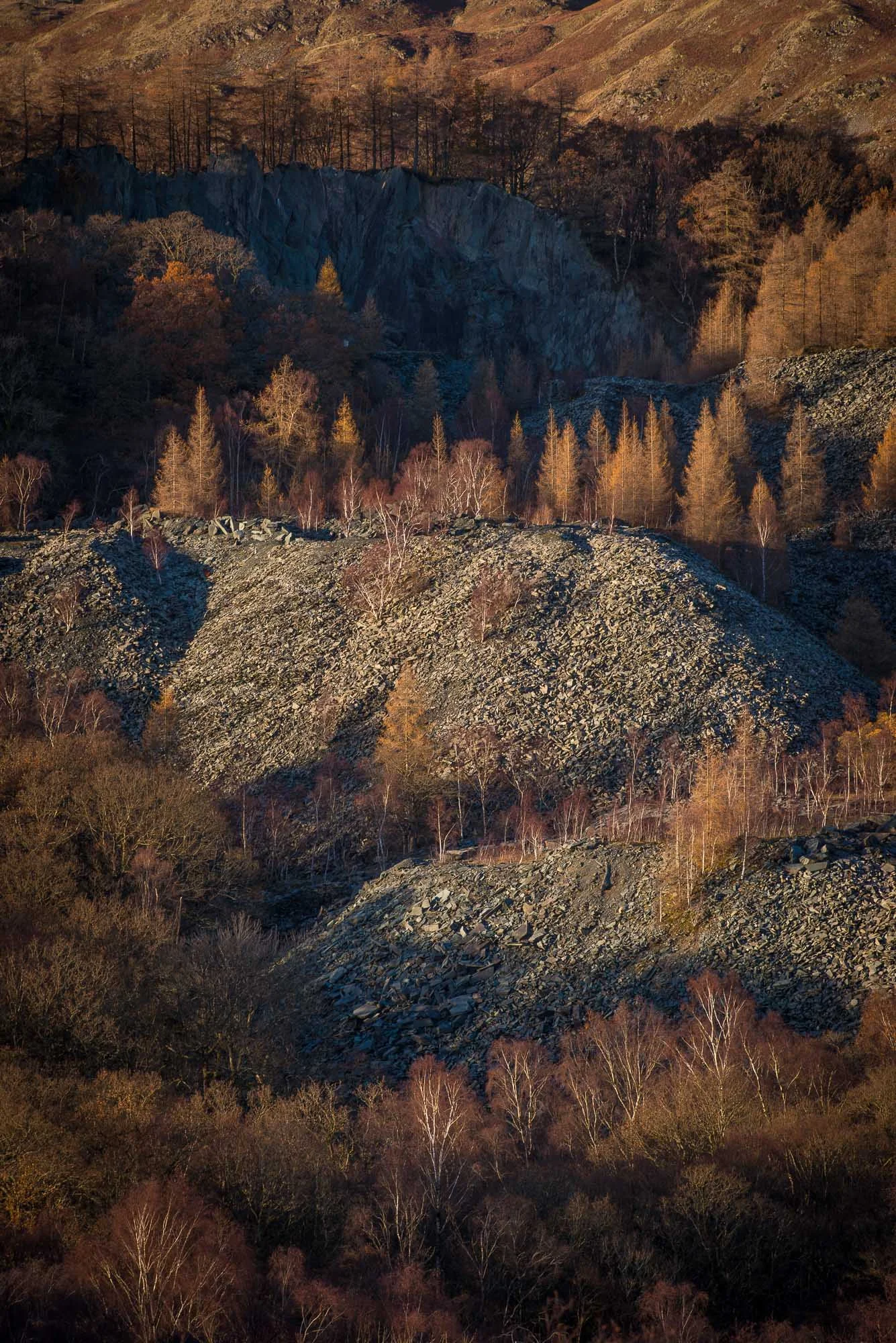 Hodge Close quarried slate piles and autumn trees