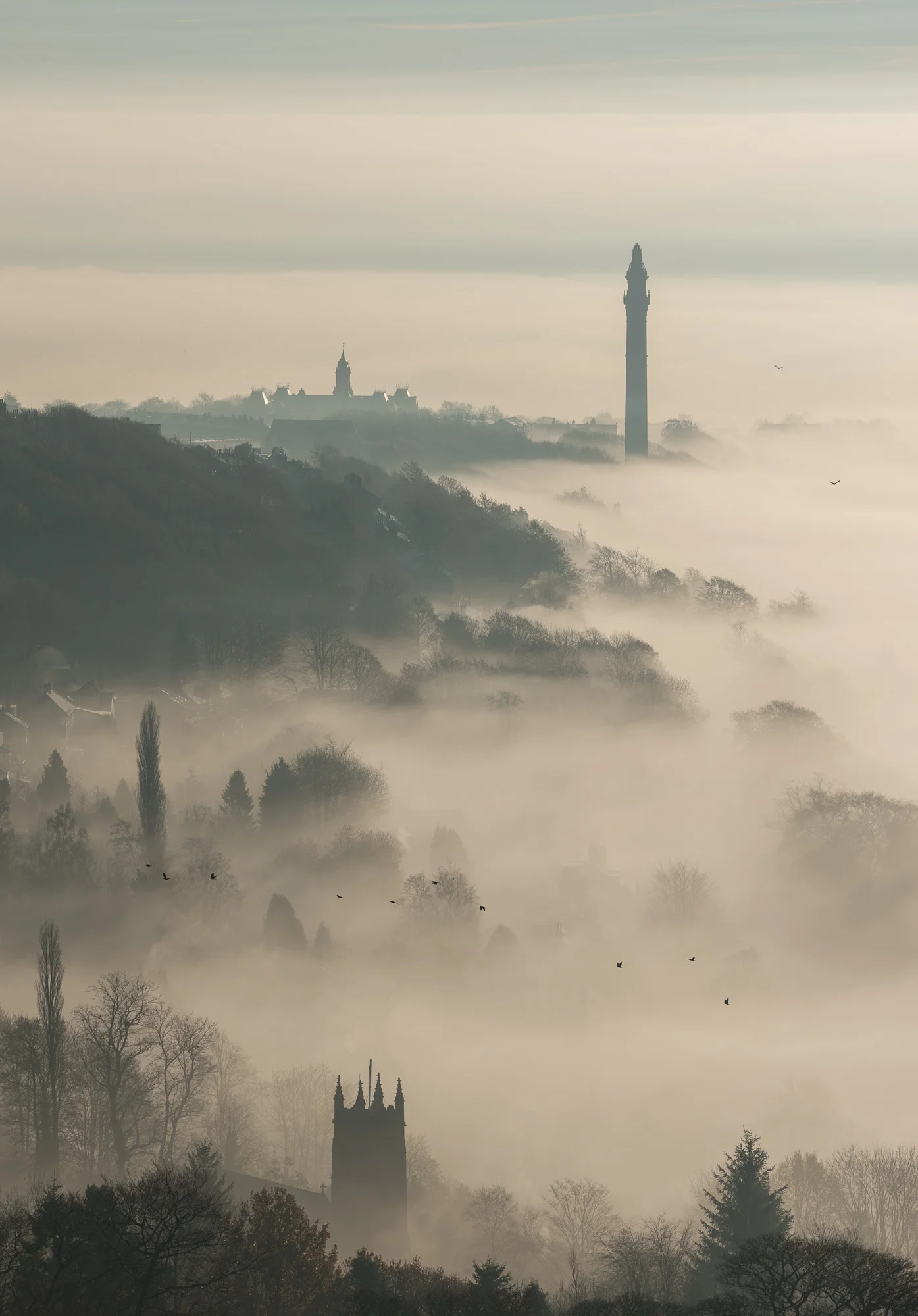 Wainhouse Tower and Halifax with mist and birds
