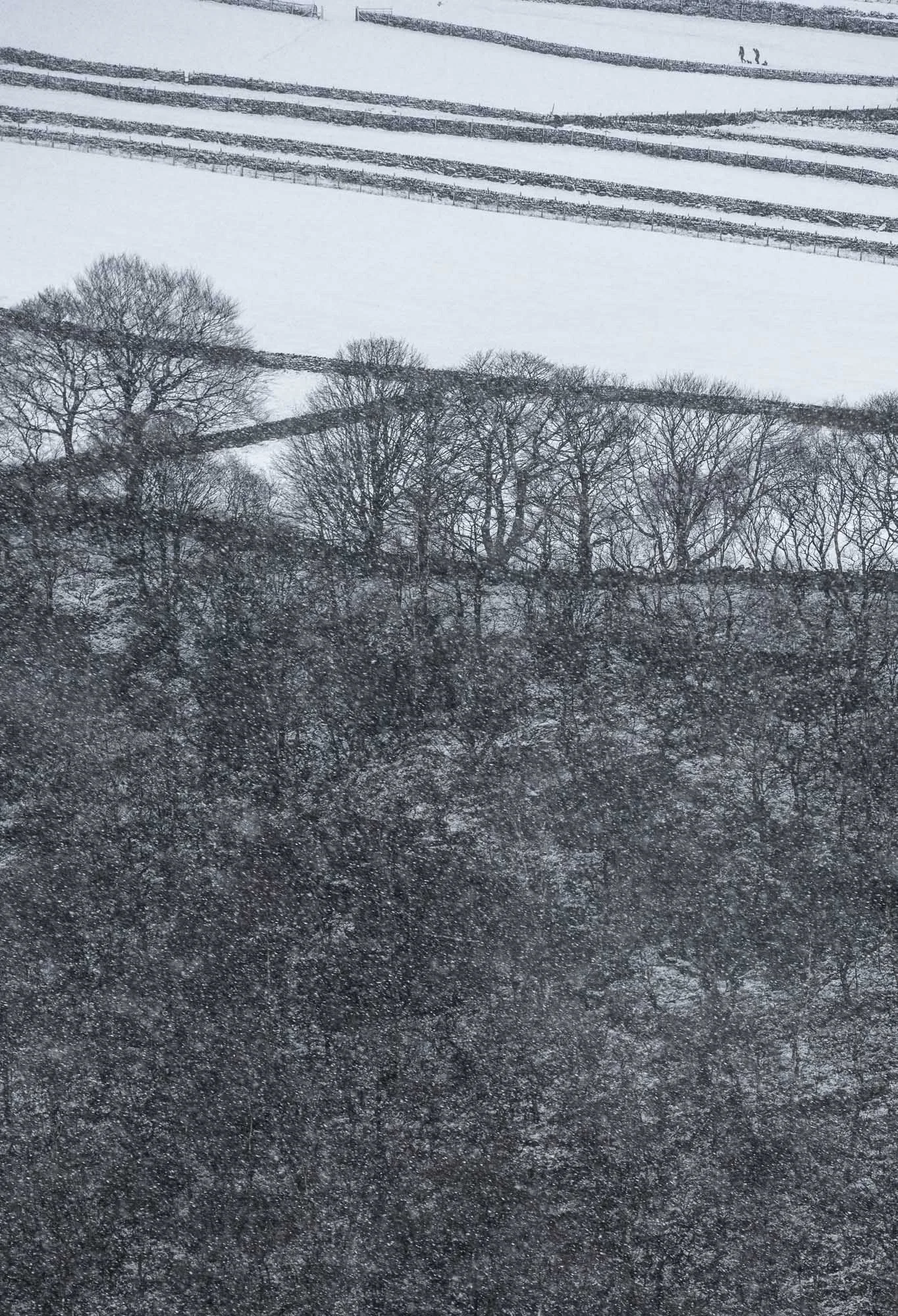Distant tobogganers with snow