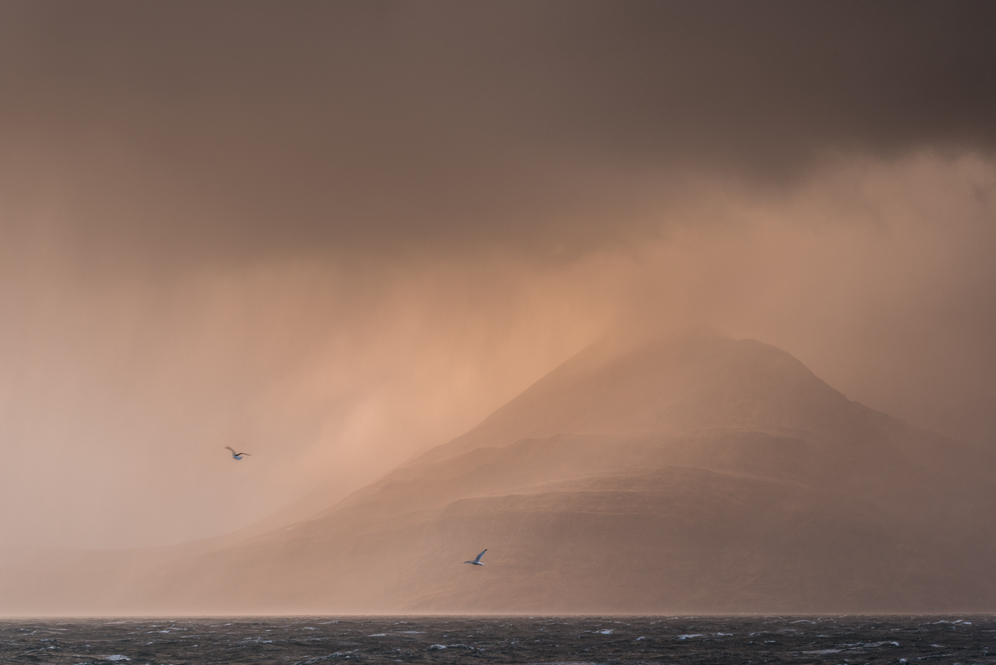 Elgol mountain squall with two gulls
