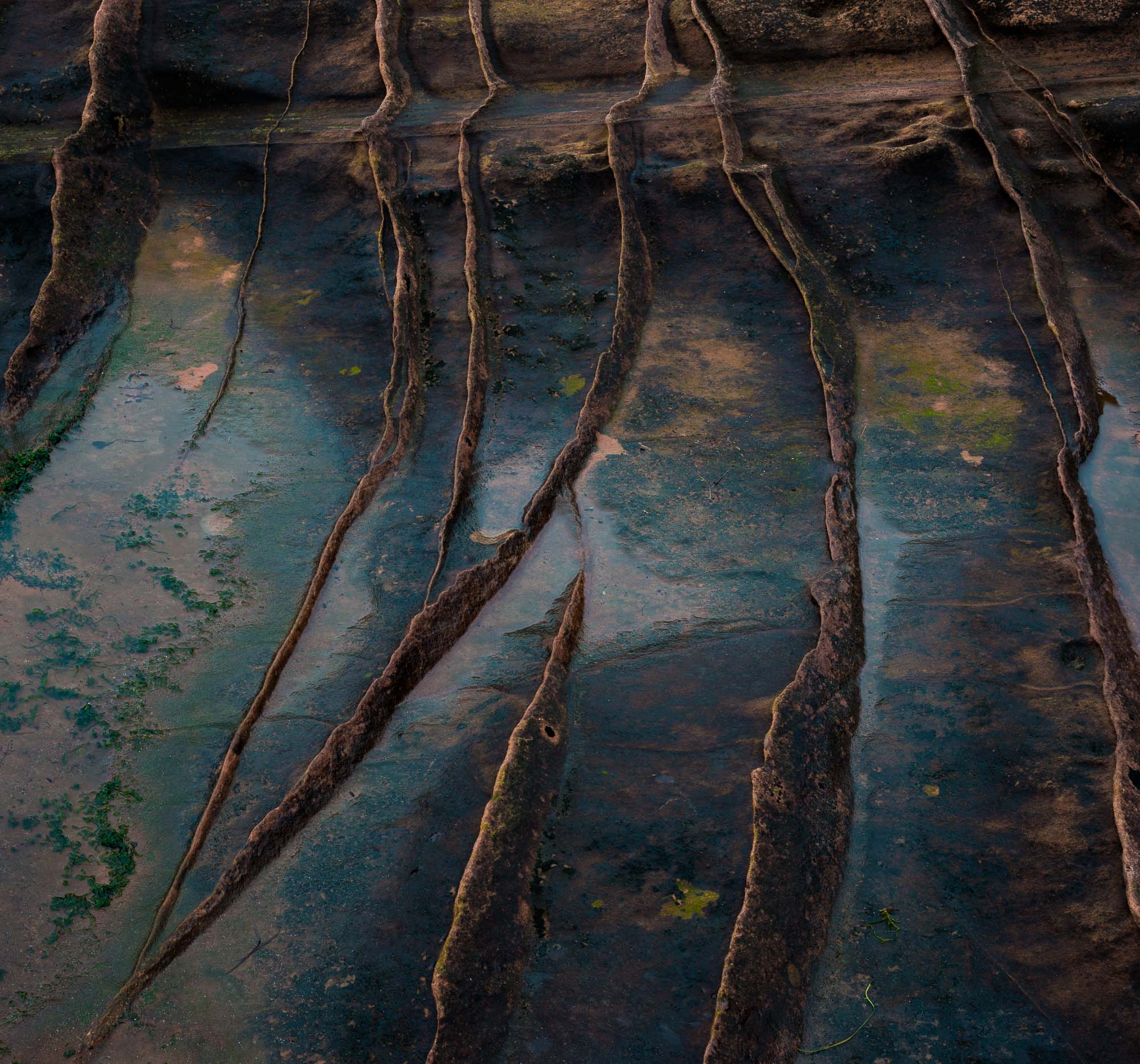 Corrie sandstone textures.jpg