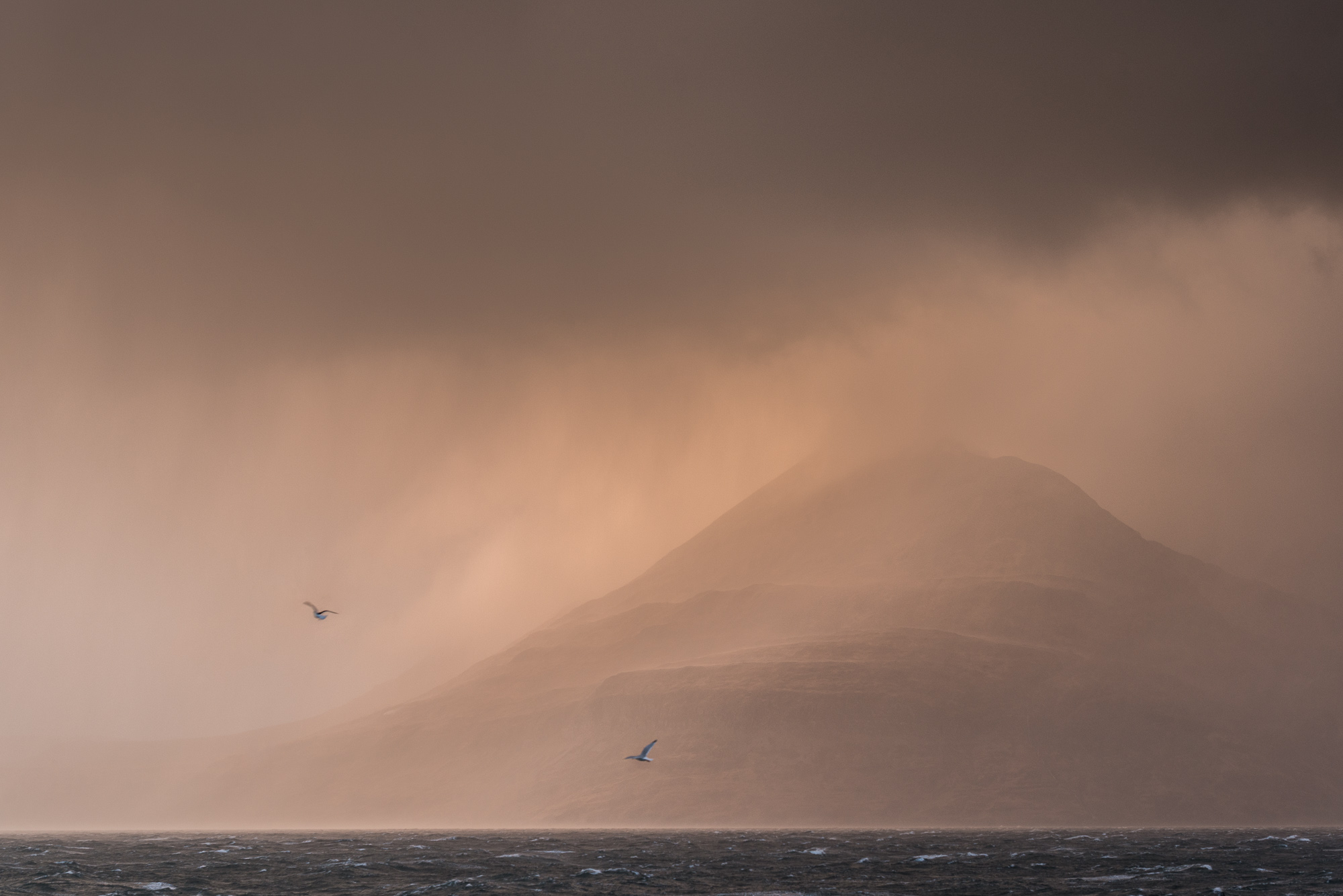 elgol dusk with gulls.jpg