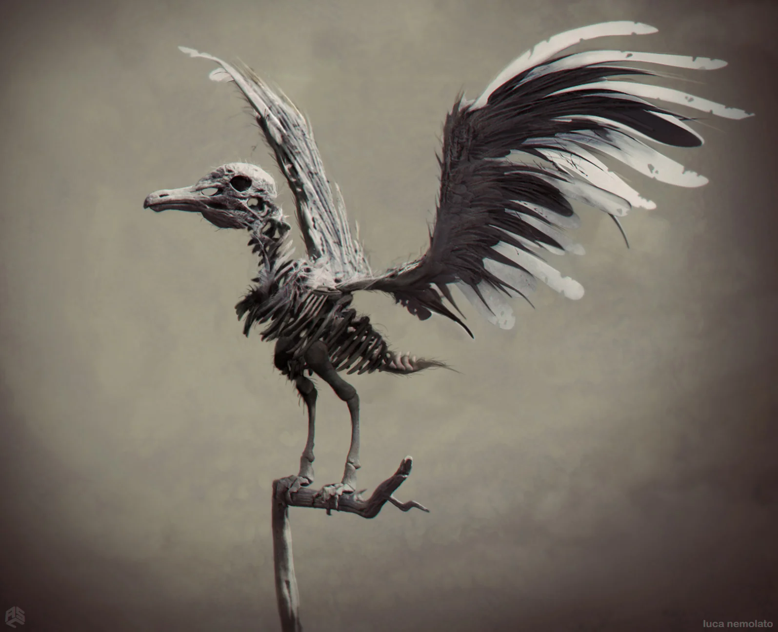 ASC_Pirates5_Birds_v7_11-14-14.jpg