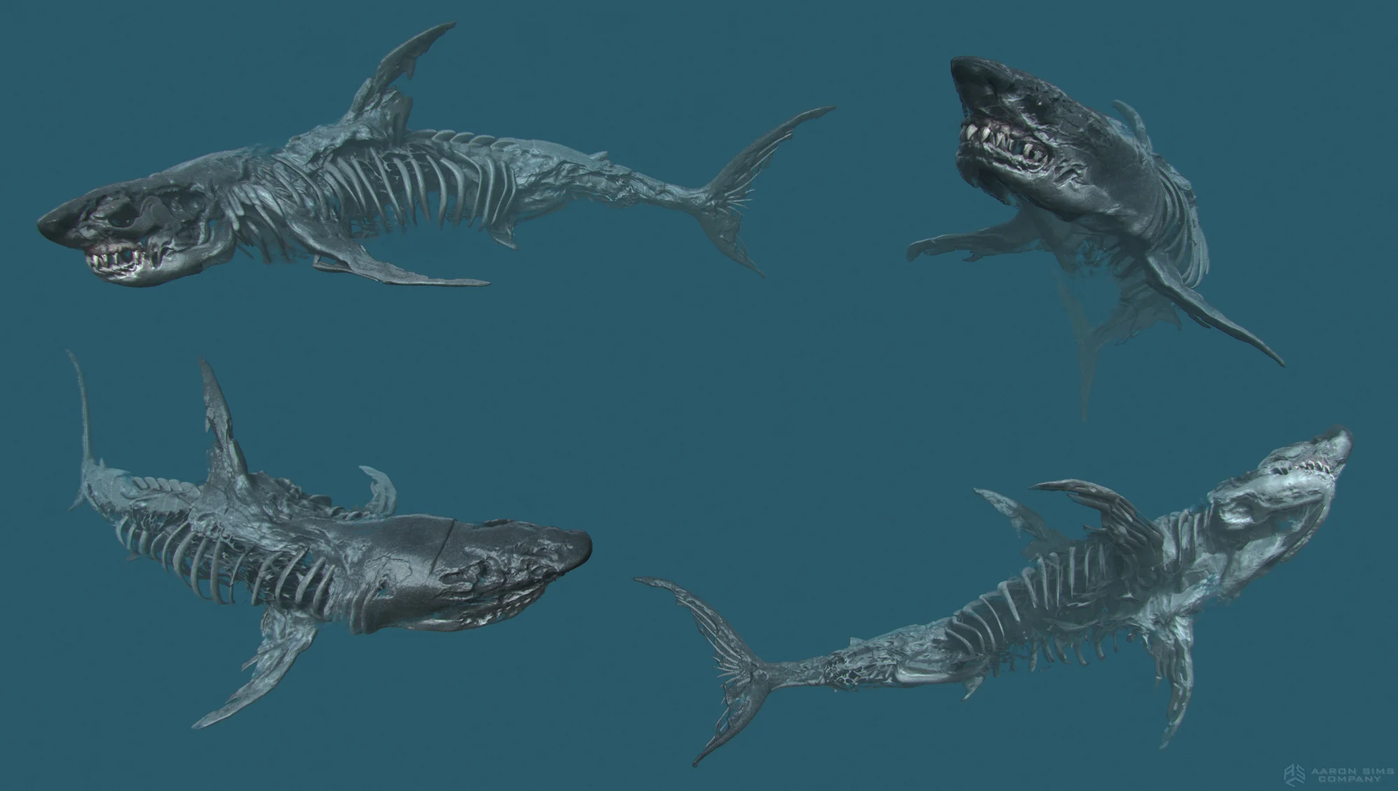 ASC_Pirates5_Sharks_v5_11-14-14.jpg