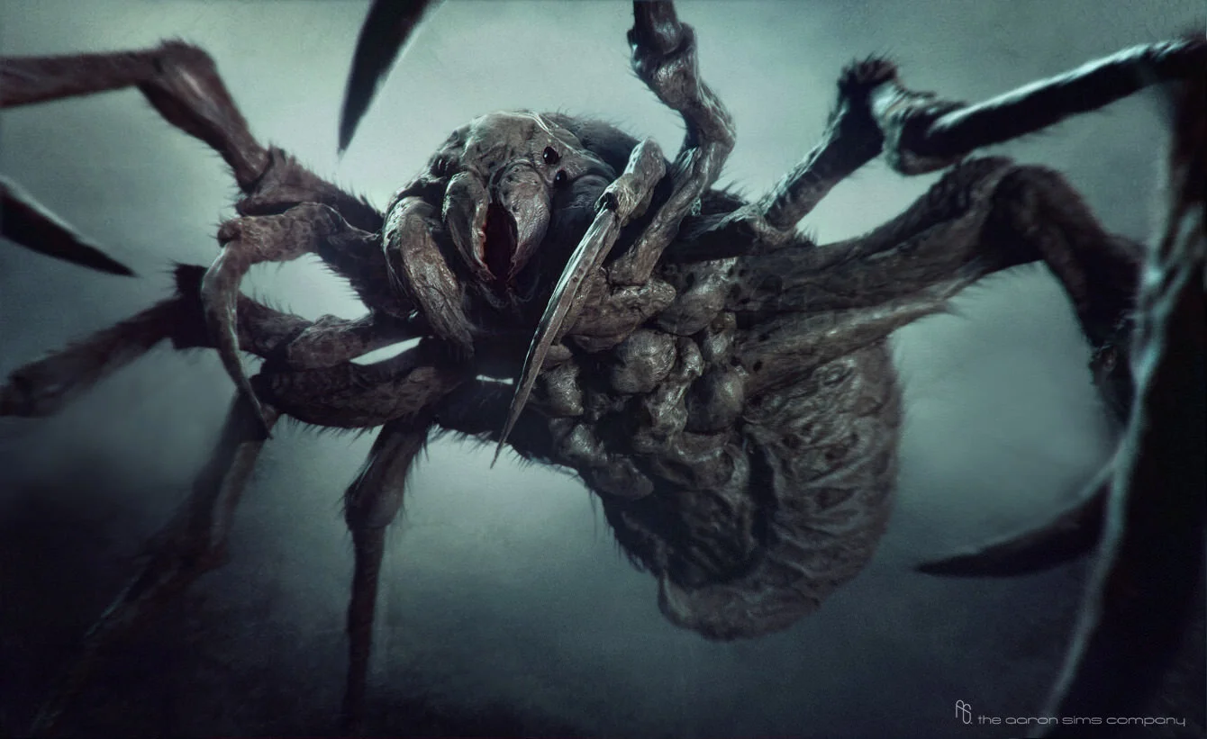 ASC_Portfolio_20190911_036.jpg