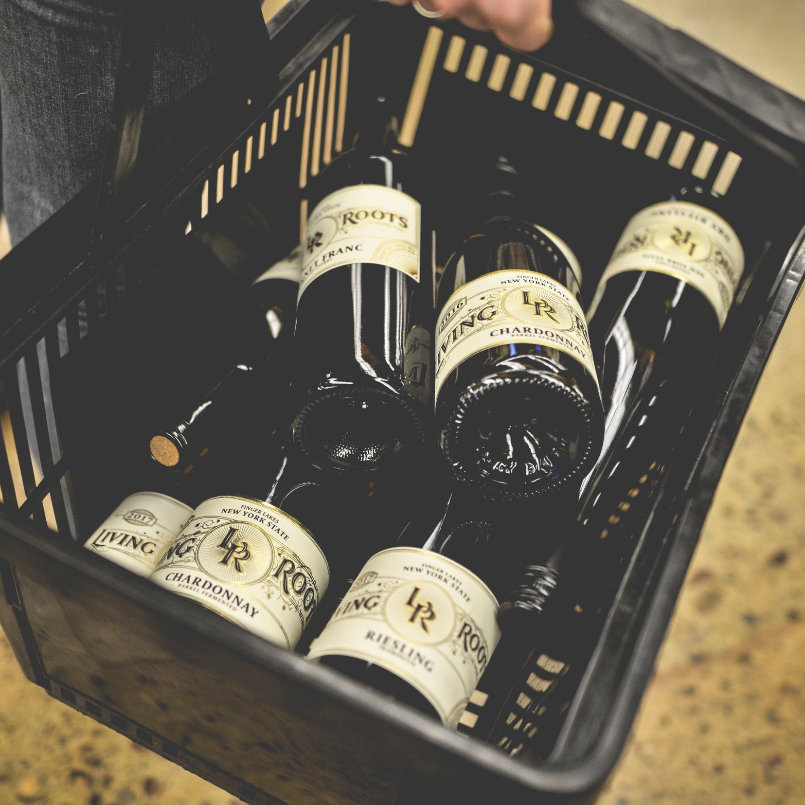 Wine bottles in store carry basket