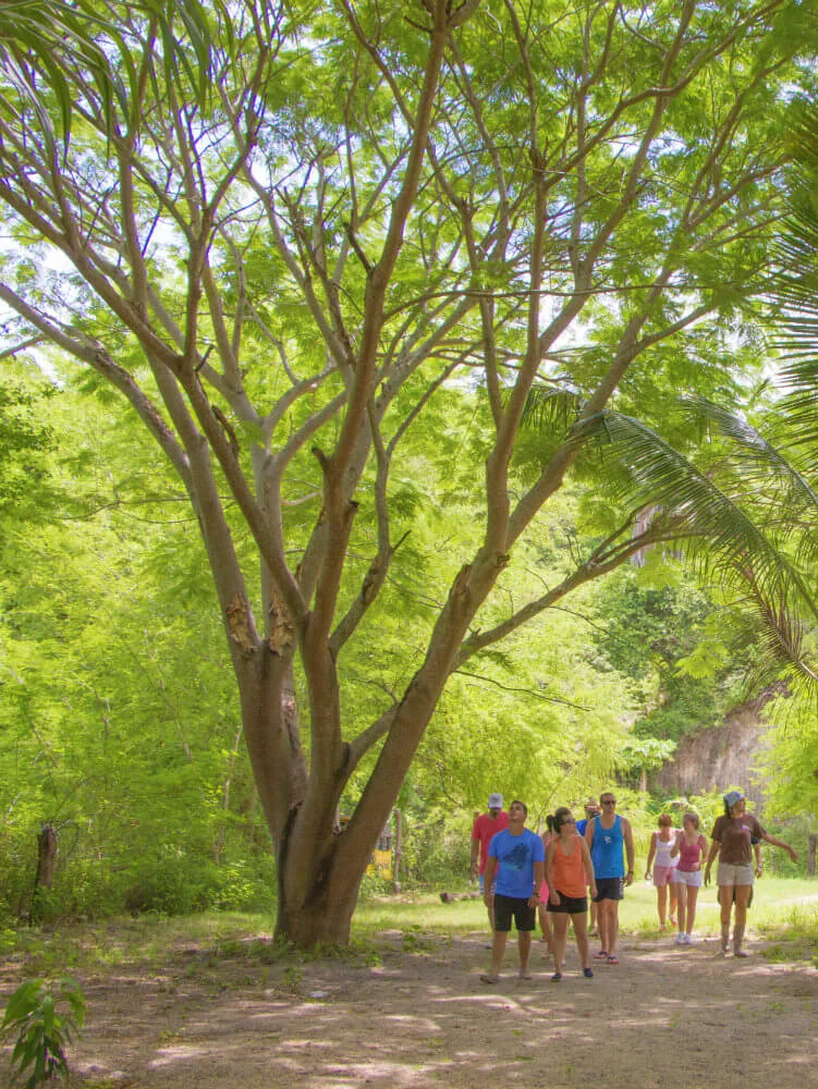 Offroad Adventure - walk.jpg
