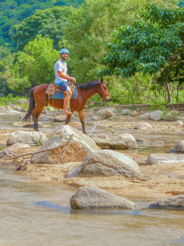 Nature Safari - horse.jpg