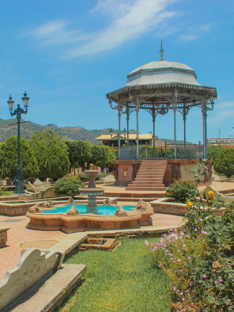 Talpa & Mascota - Garden.jpg