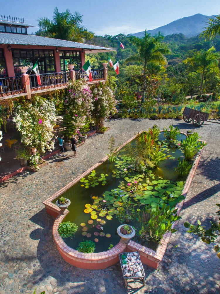 Hidden Mexico - gardens.jpg