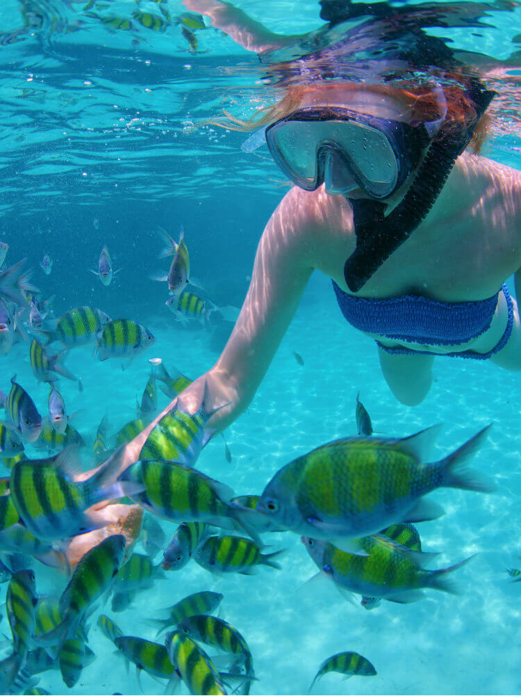 Day Sailing - snorkel.jpg