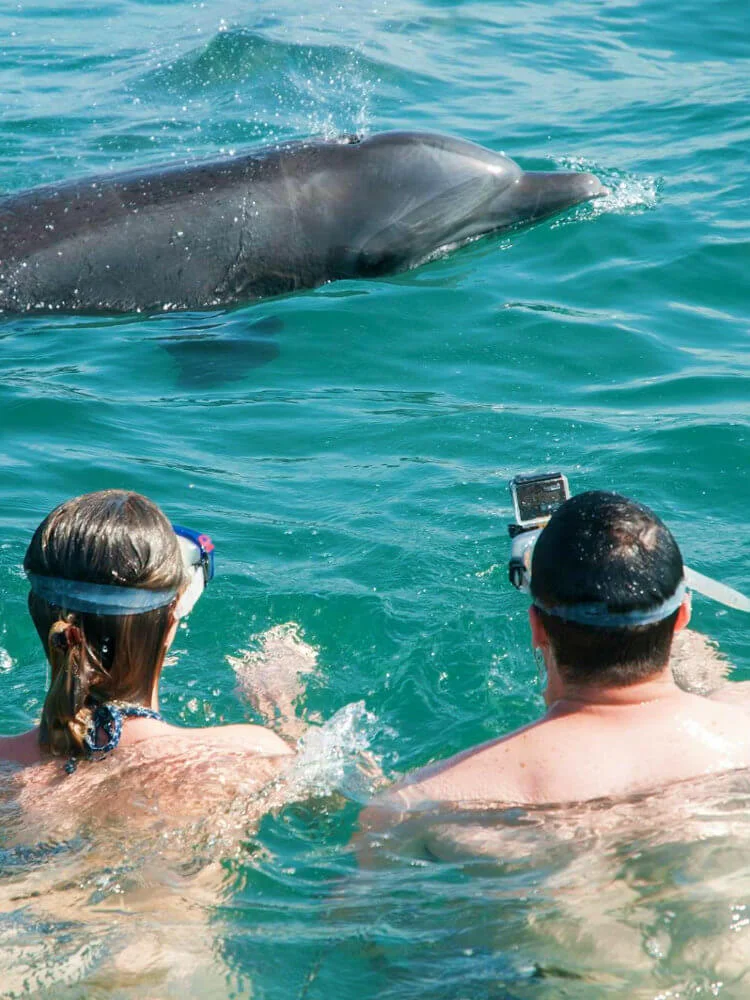 Swim with Wild Dolphins - couple.jpg