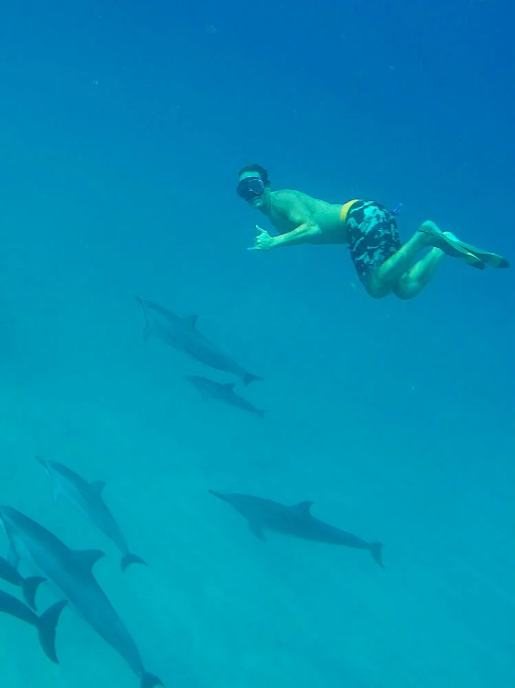 Swim with Wild Dolphins - man underwater.jpg