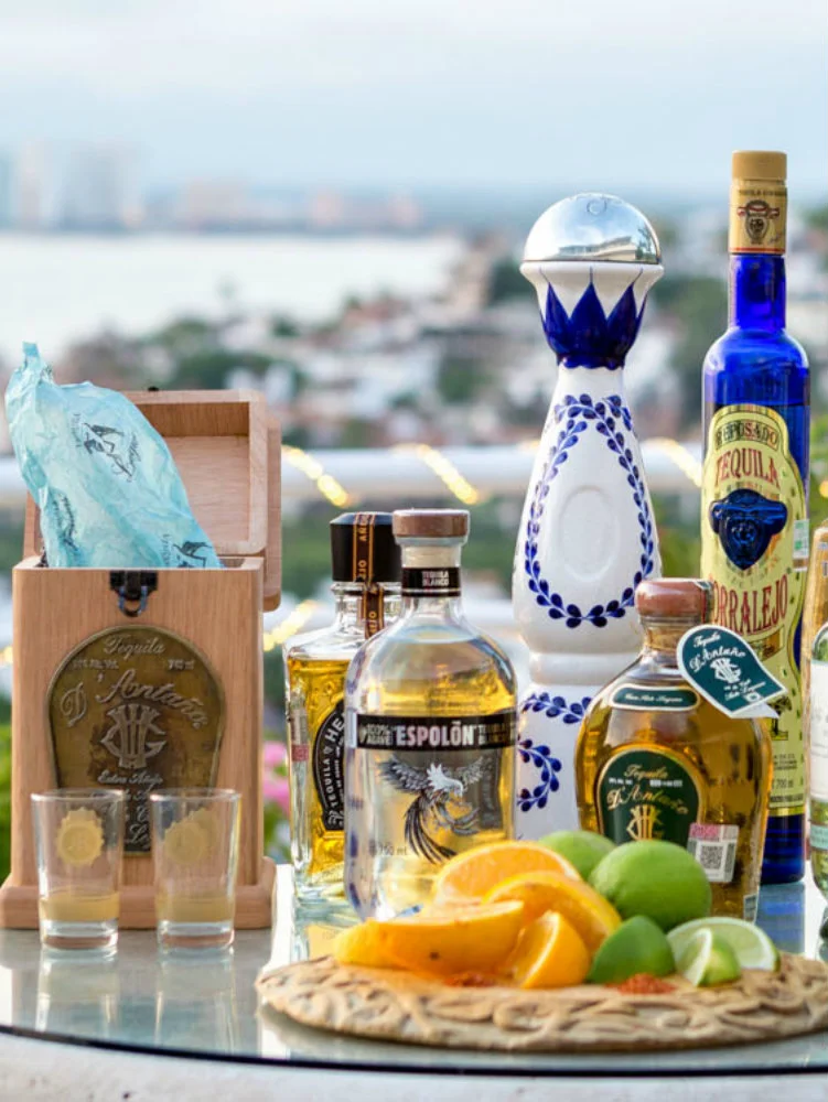 Vallarta Tequila Tasting - bottles.jpg
