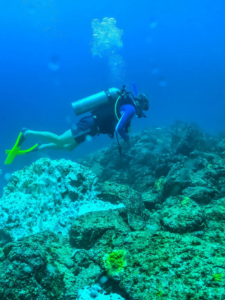Scuba Diver - rocks.jpg