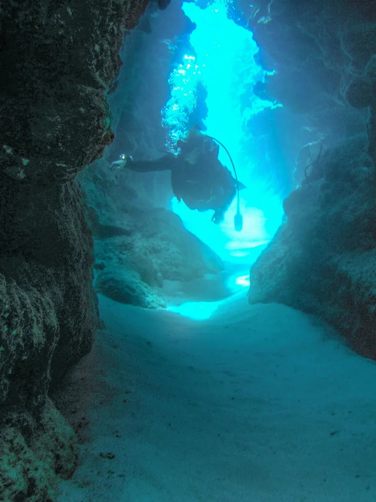 Open Water - arch.jpg