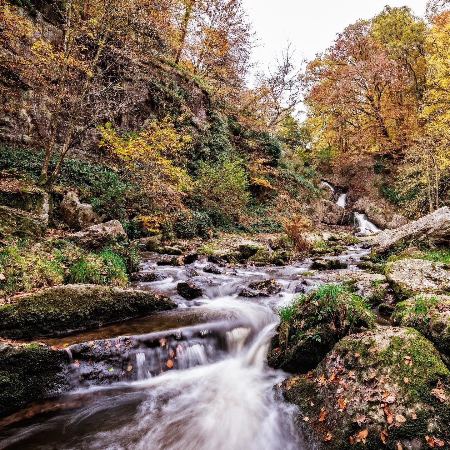 La grande cascade de Mortain; the biggest waterfall of North-West France. And one of the many lovely areas to take an Autumn walk🍂

.
.
.
.
#frenchcountryside #campagne #rural_nature_landscape #manchetourisme #normandietourisme #jaimelanormandie#unl