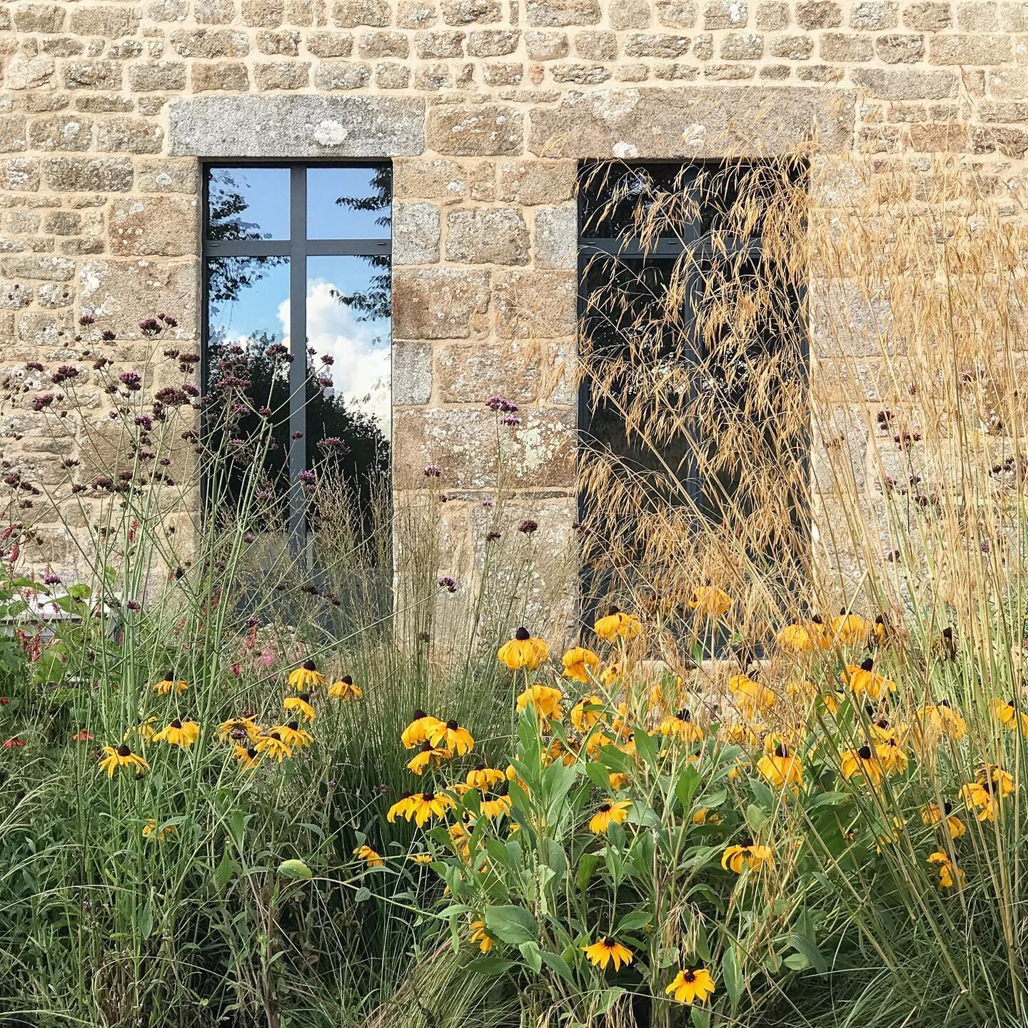 September at Esprit du Bocage; We are enjoying a lovely Indian Summer in sunny Normandy🌻
*
*
*
Septembre &agrave; Esprit du Bocage; Nous profitons d&rsquo;un bel &eacute;t&eacute; indien sous le soleil de Normandie🌻
.
.
.
.
#frenchfarmhouse#holiday