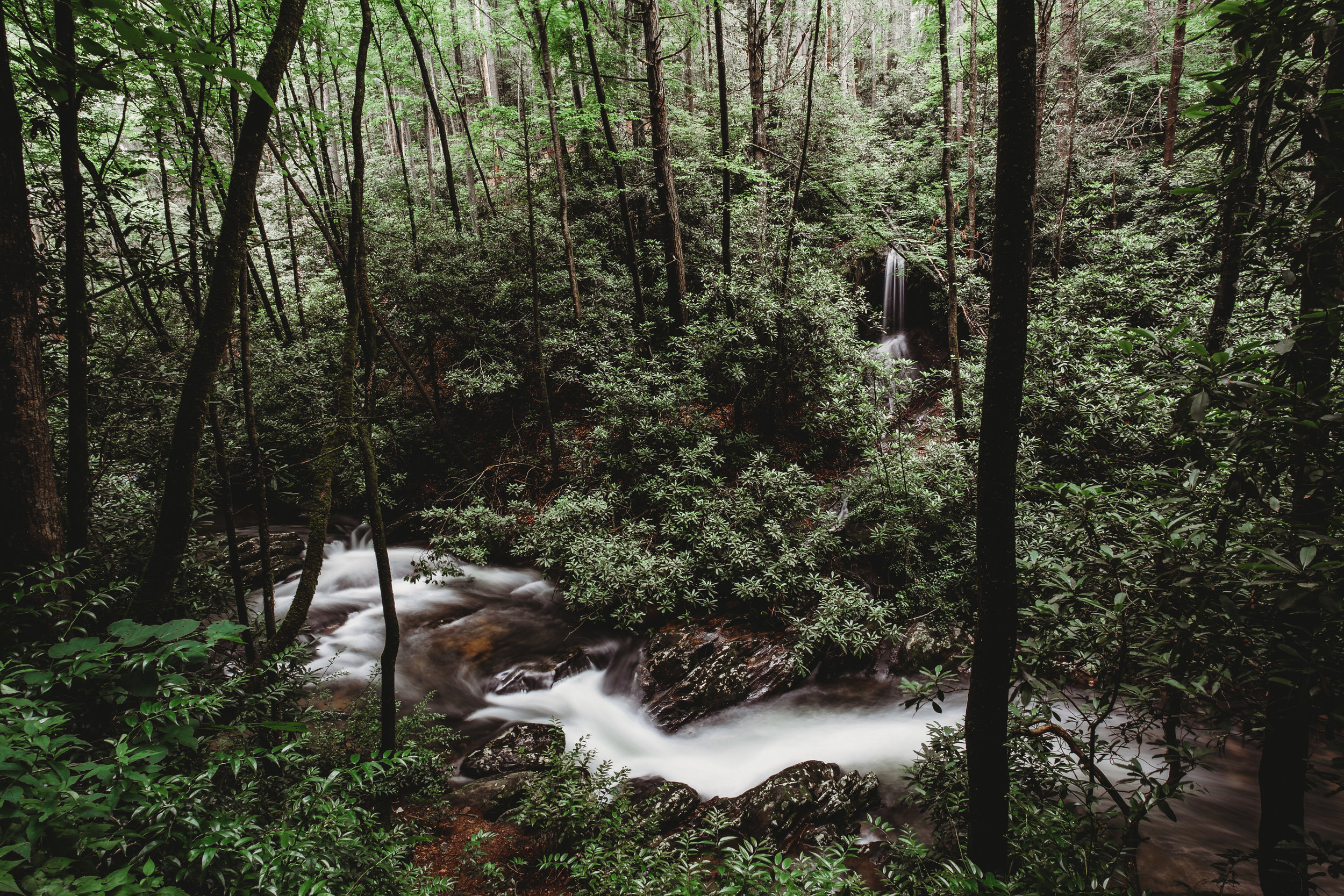 _MG_9541.jpg