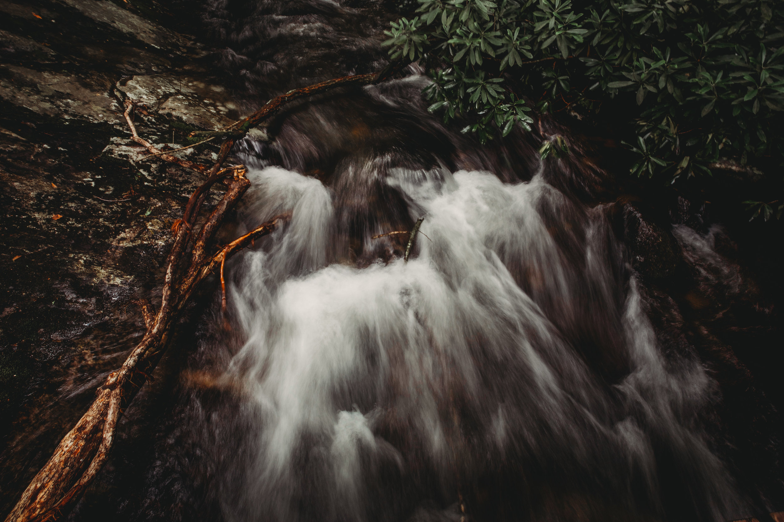 _MG_9588.jpg