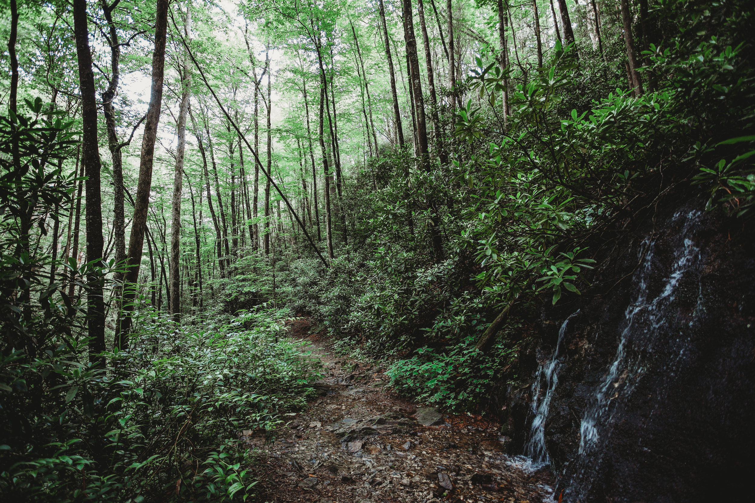 _MG_9559.jpg