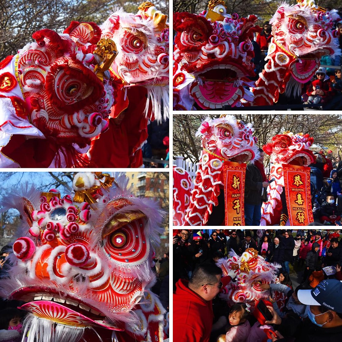 CHINESE LUNAR NEW YEAR