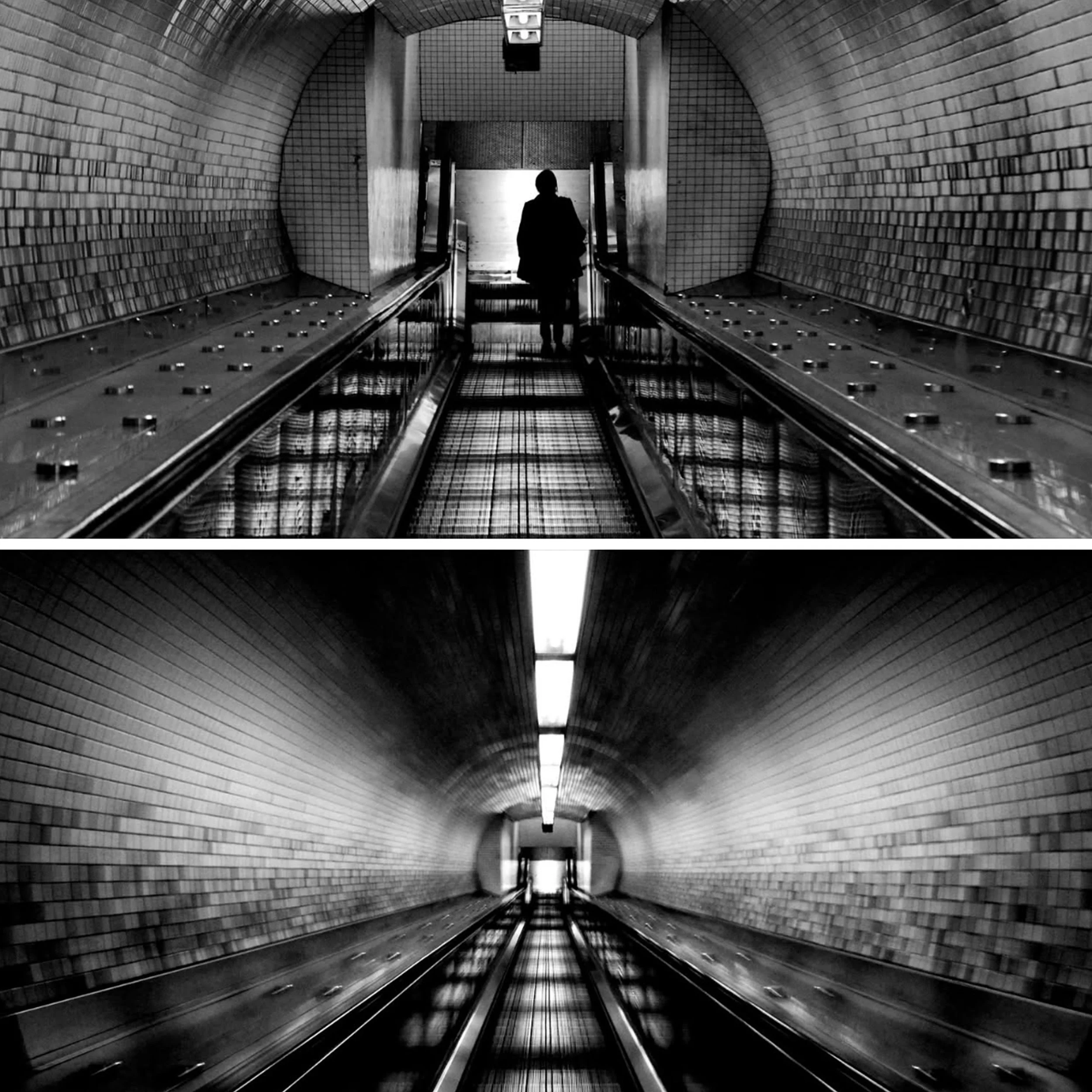 IMG_8949 2 10x10 WEB copy.jpg