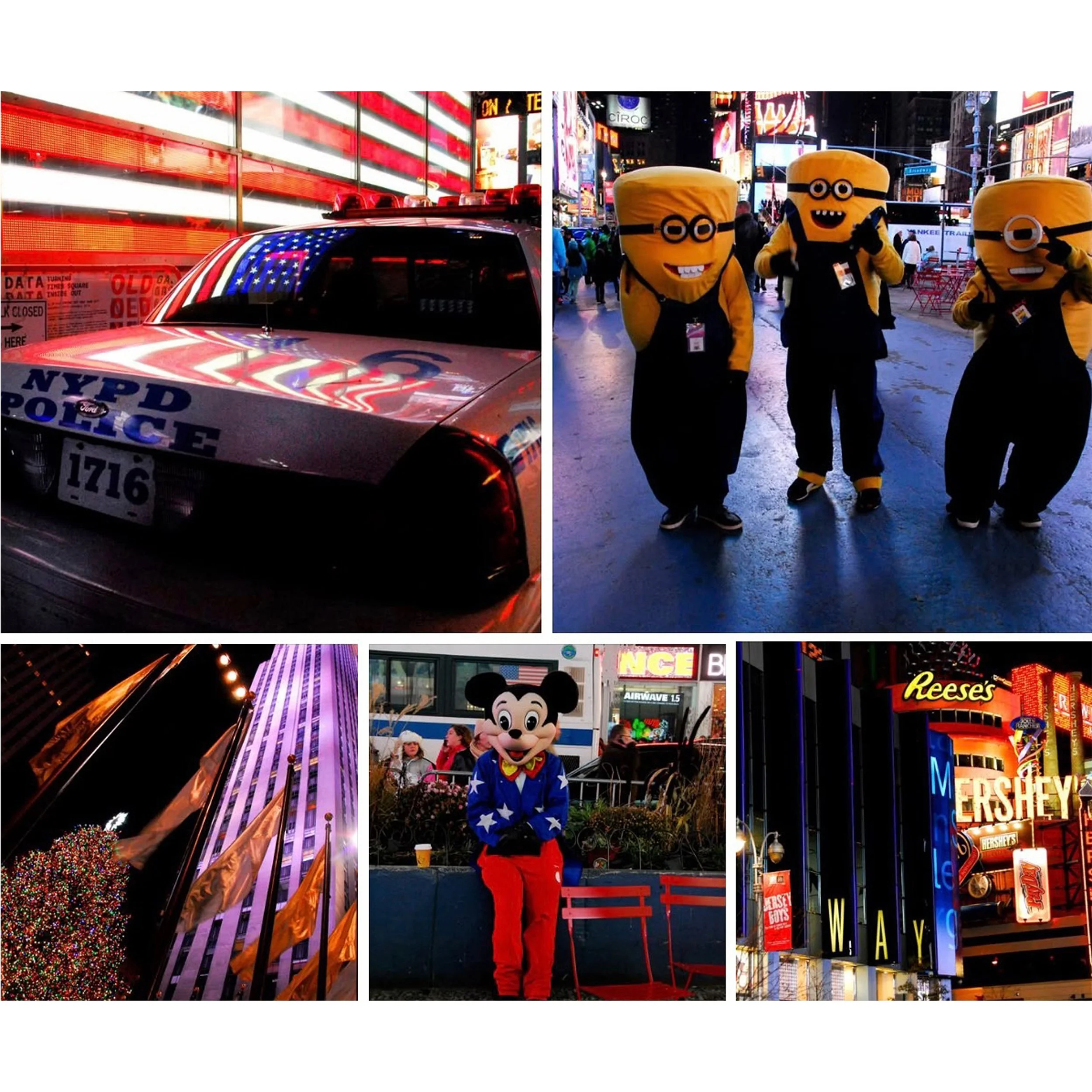 IMG_9094 10x10 CROP 12x10 WEB copy.jpg