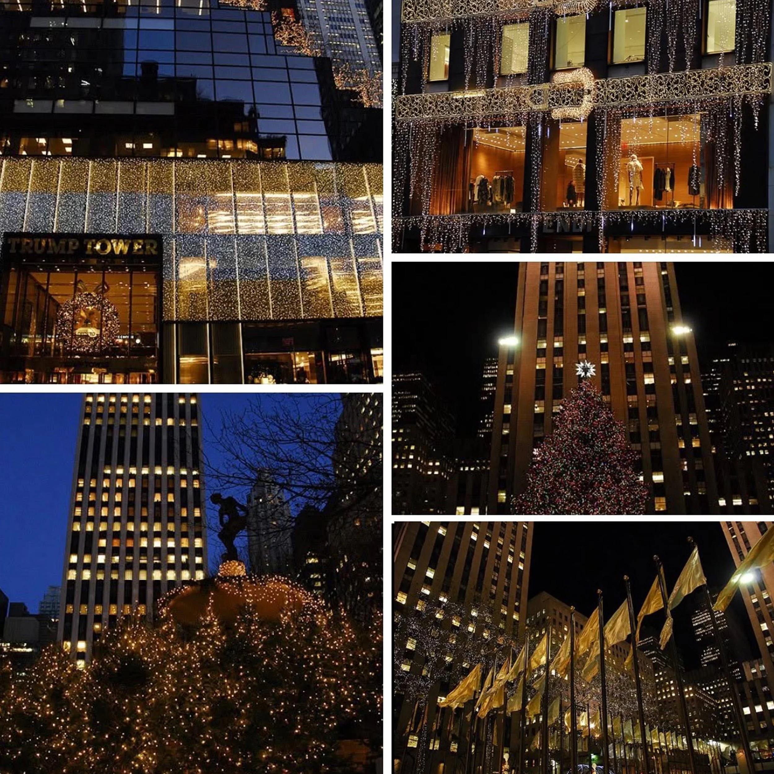 IMG_9409 10x10 WEB copy.jpg