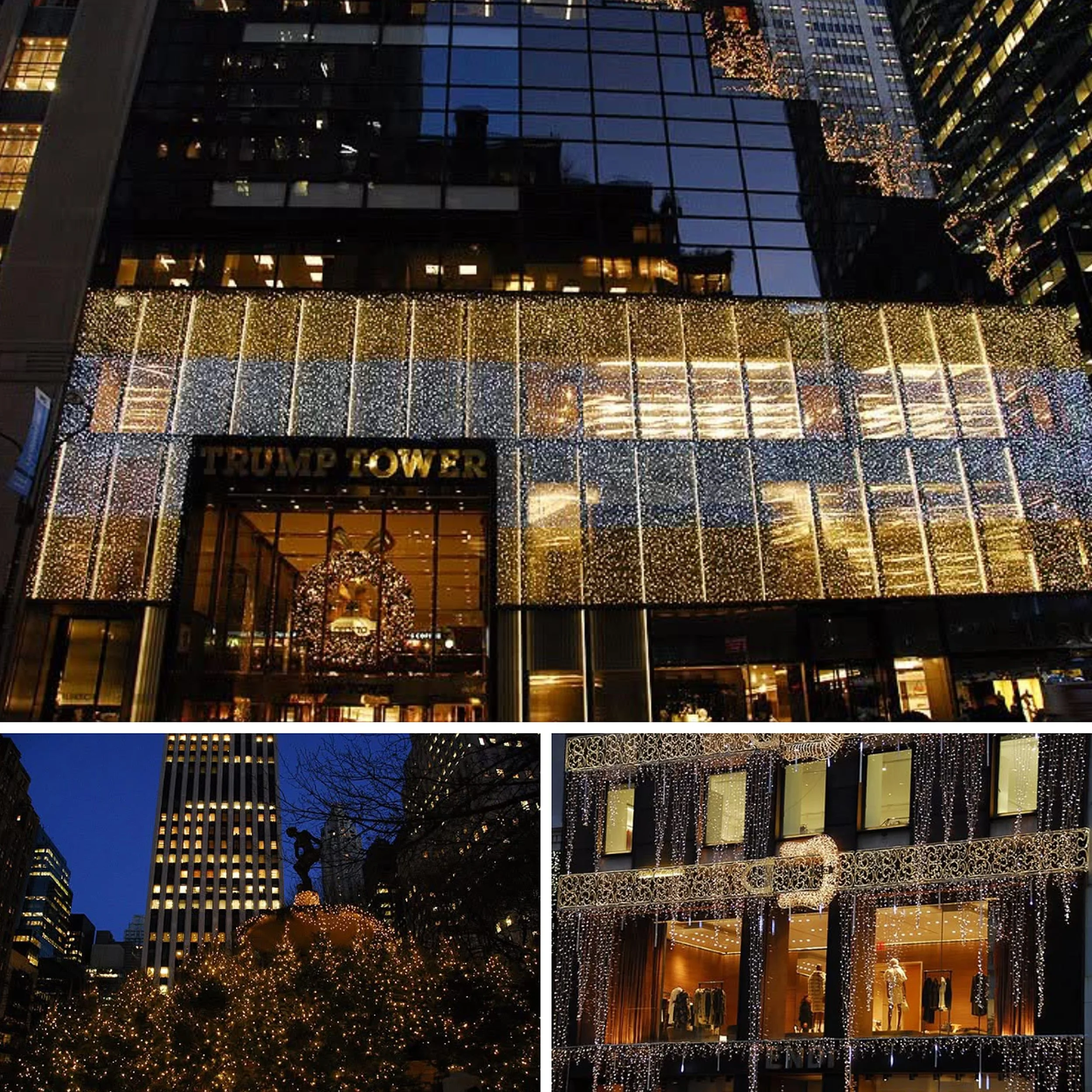 IMG_9632 2 10x10 copy.jpg