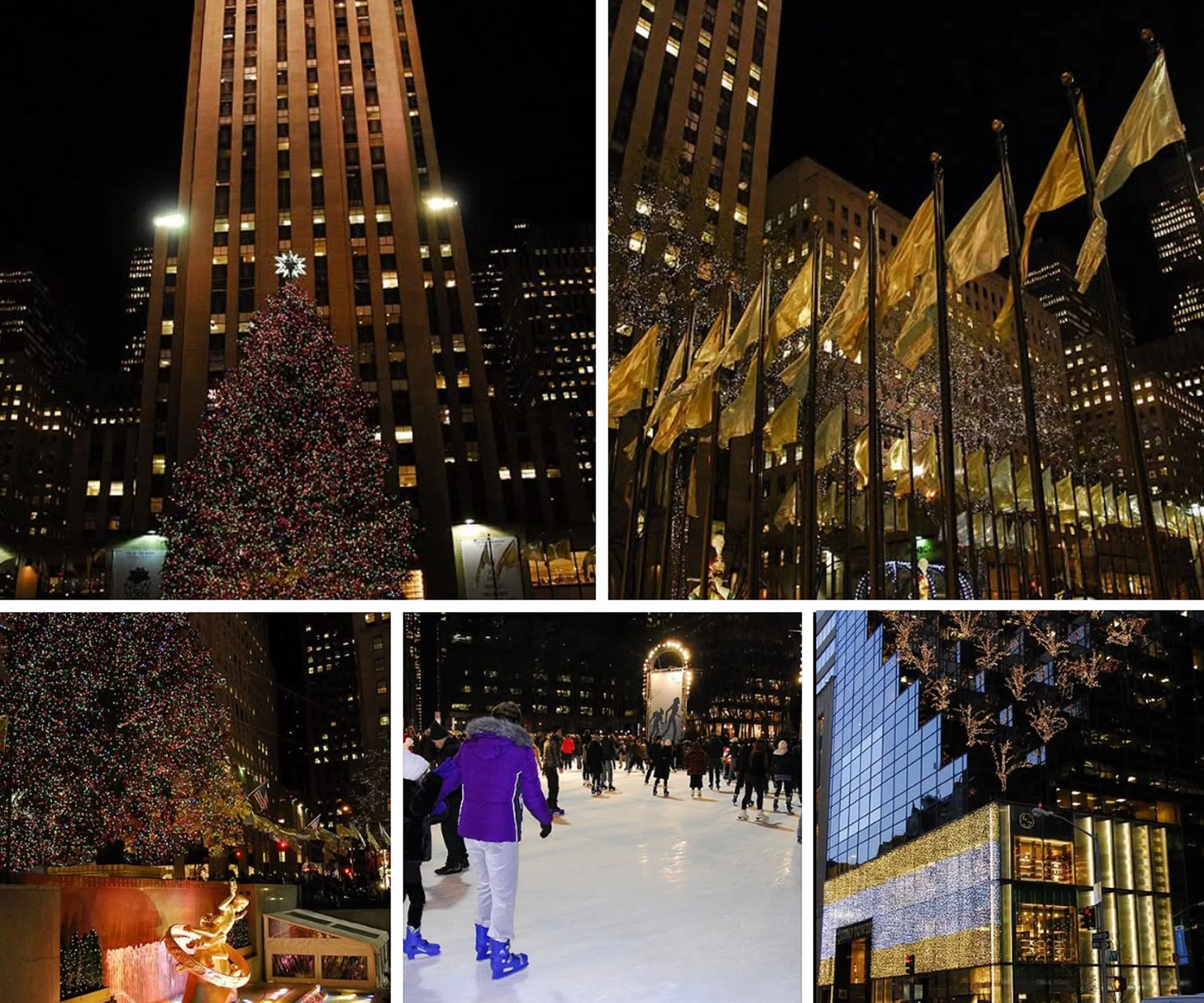 IMG_9675 2 12x10 copy.jpg