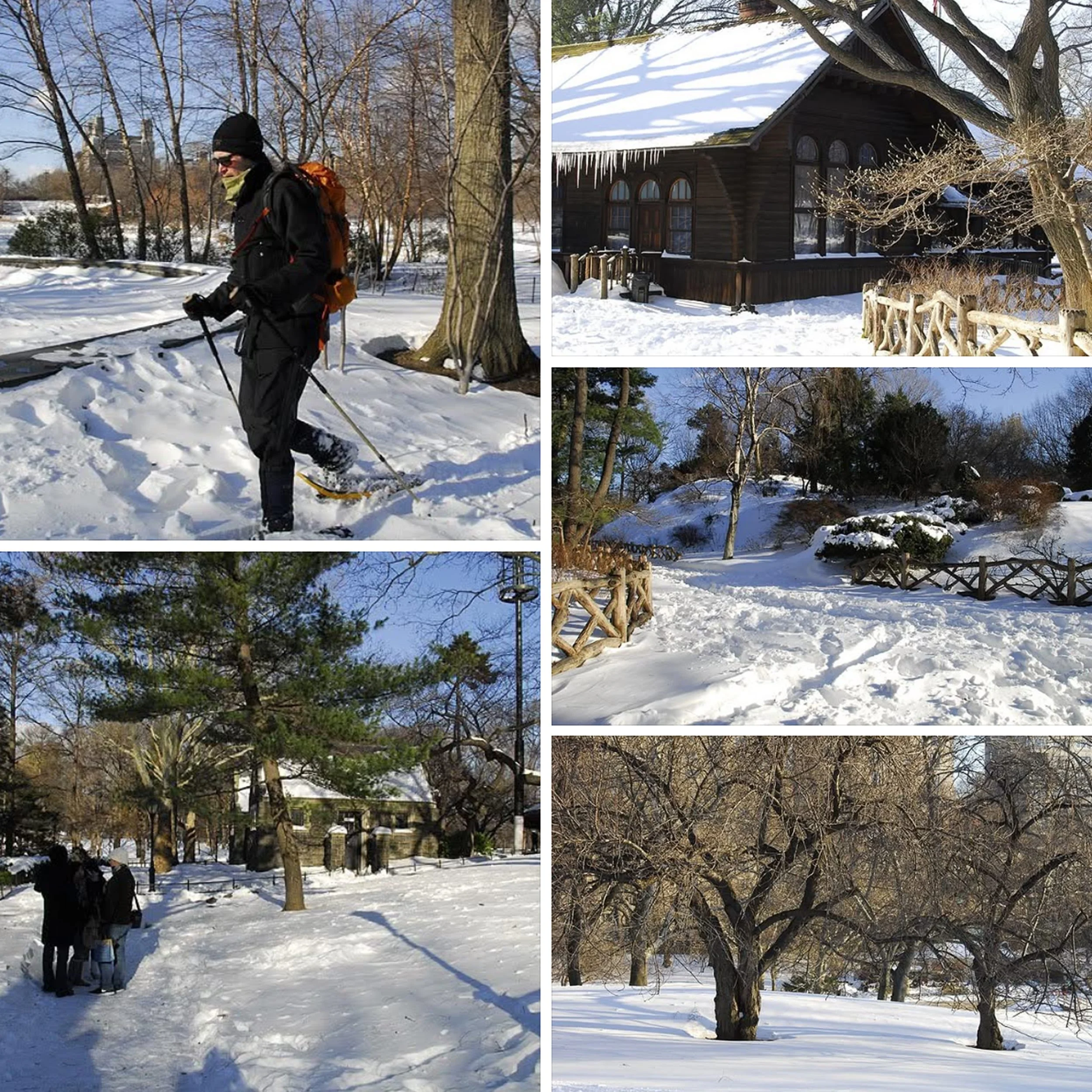 IMG_9925 10x10 copy.jpg