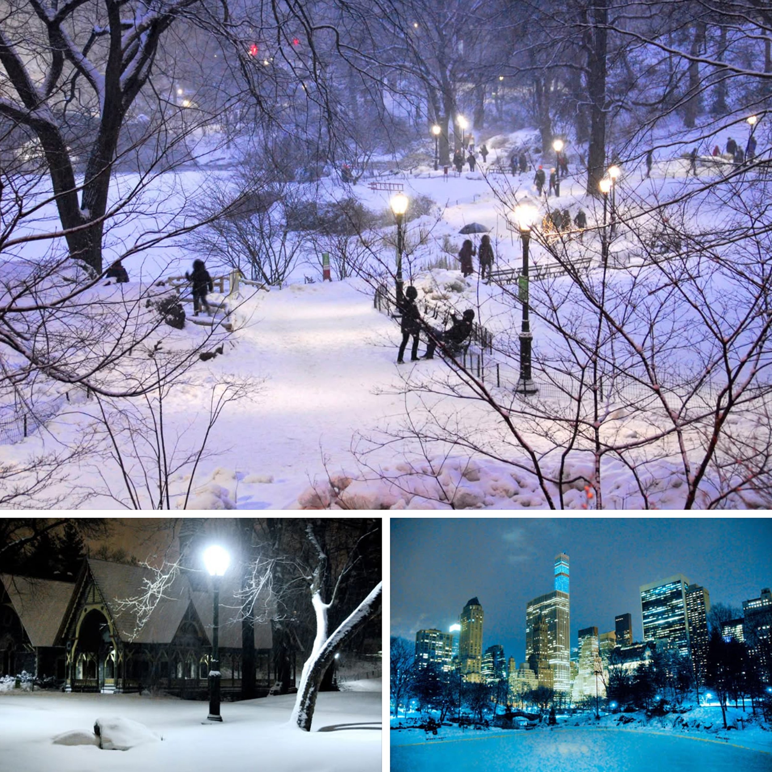 IMG_9841 10x10 copy.jpg