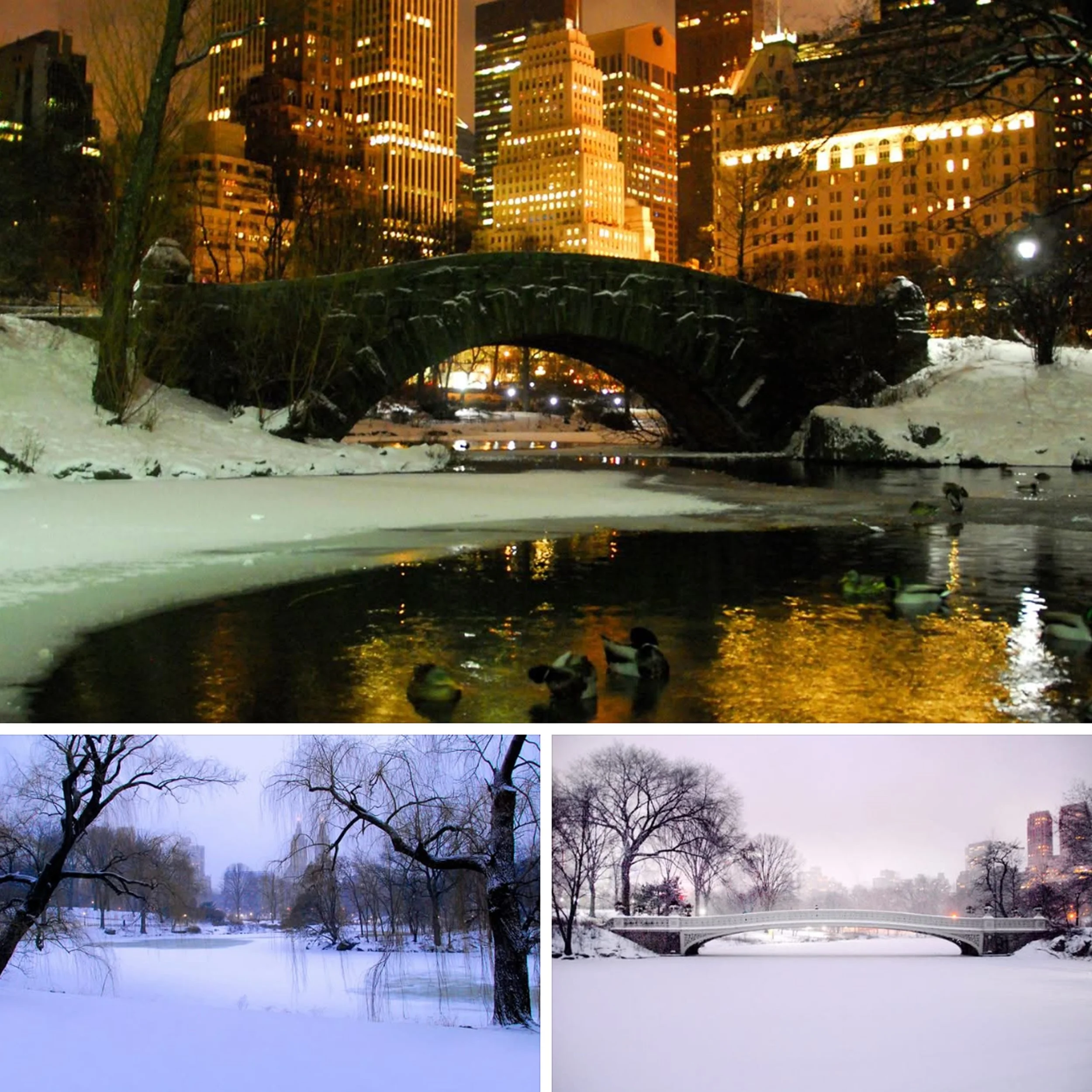 IMG_9843 10x10 copy.jpg