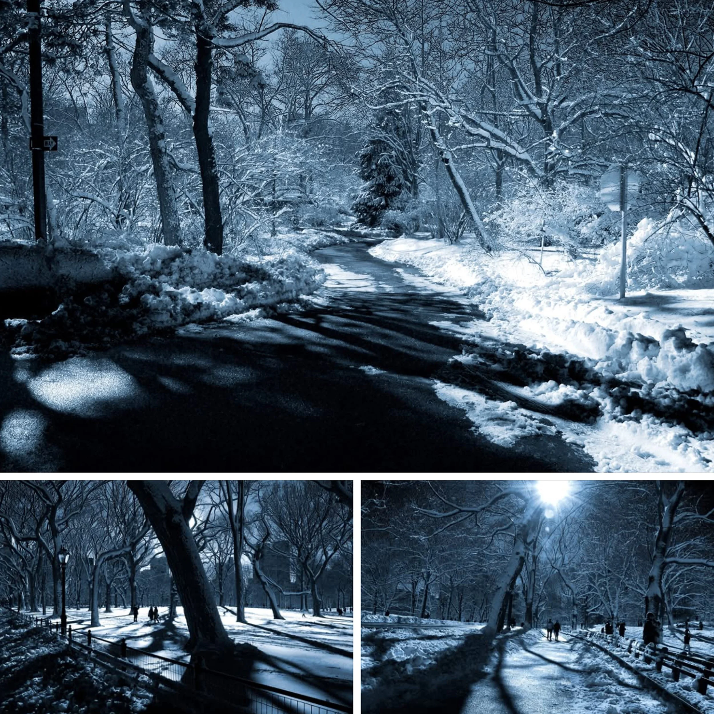 IMG_9846 10x10 copy.jpg