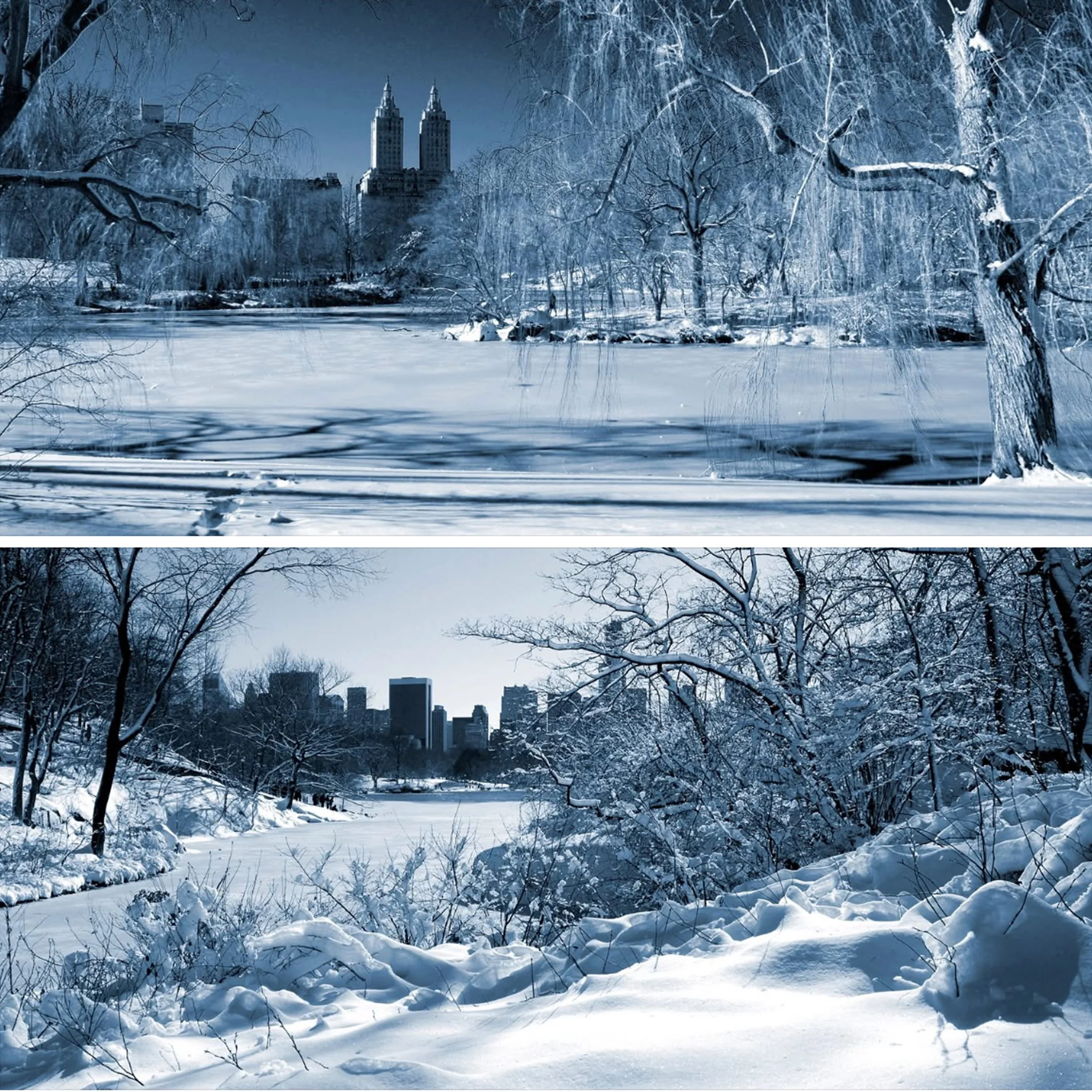 IMG_9847 10x10 copy.jpg