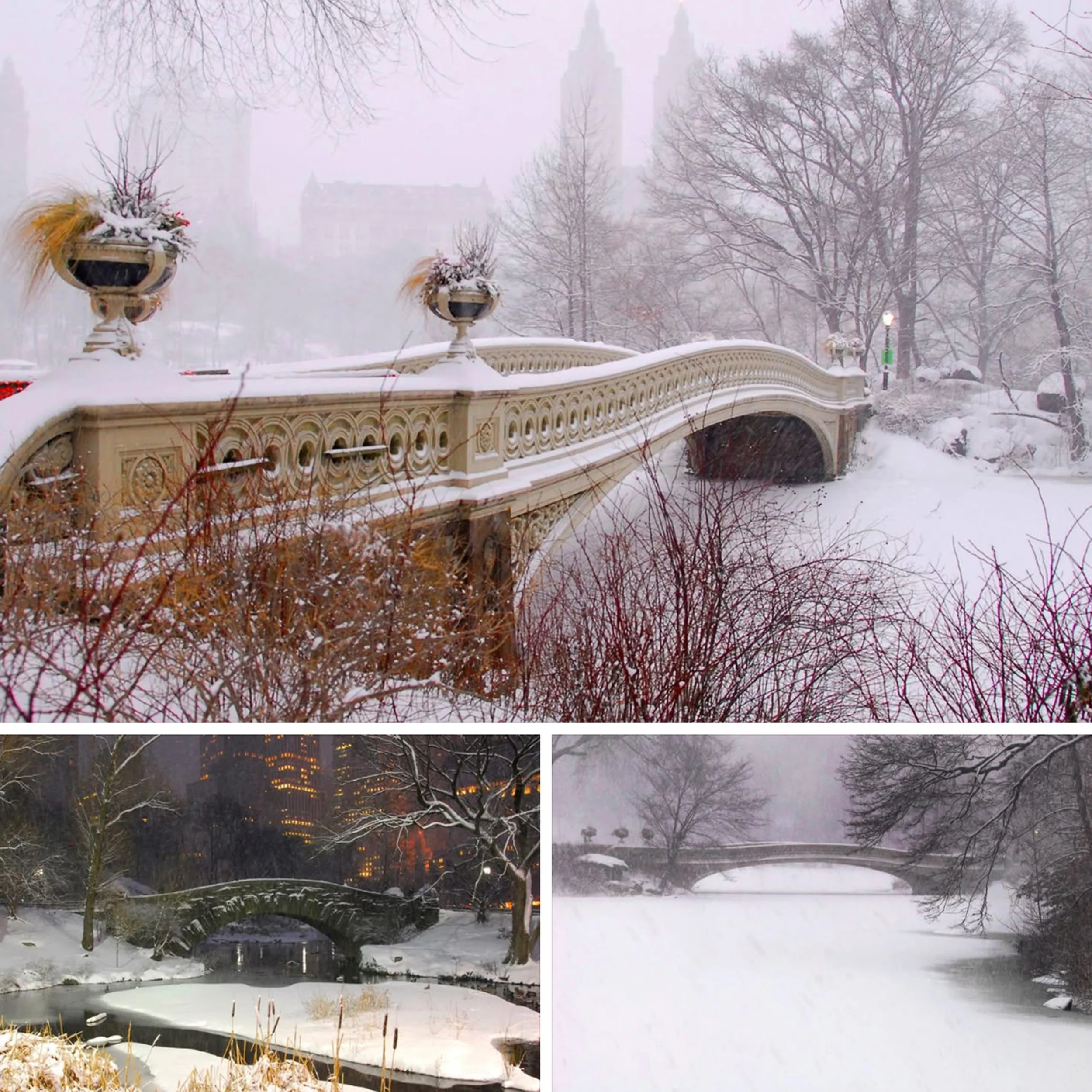 IMG_9842 10x10 copy.jpg