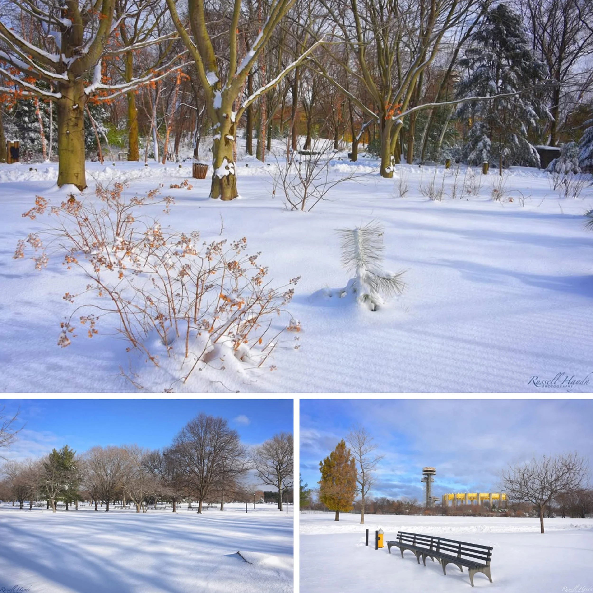 IMG_9835 10x10 copy.jpg