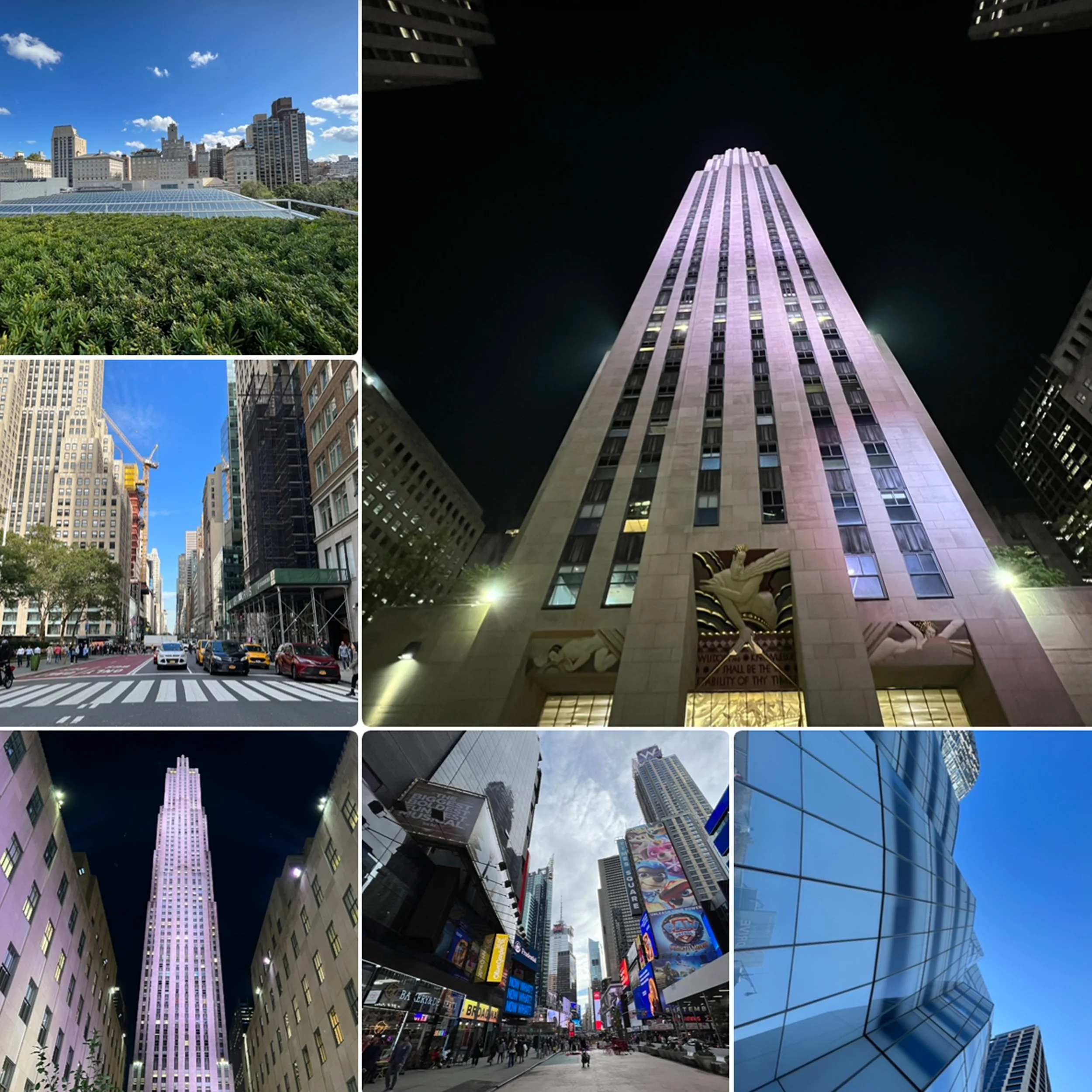 IMG_9743 10x10 copy.jpg