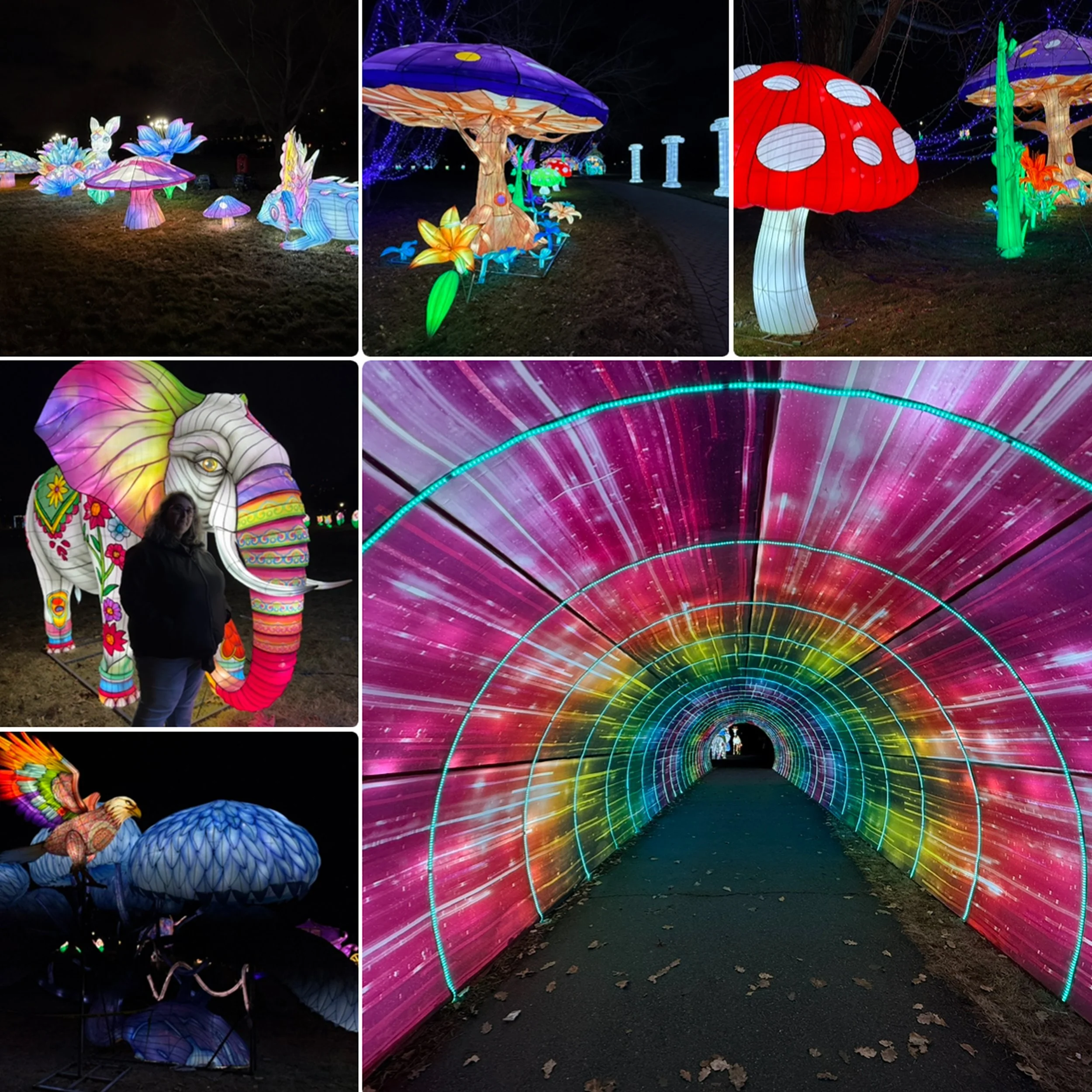 IMG_0423 10x10 Light Show Flushing 2 copy.jpg