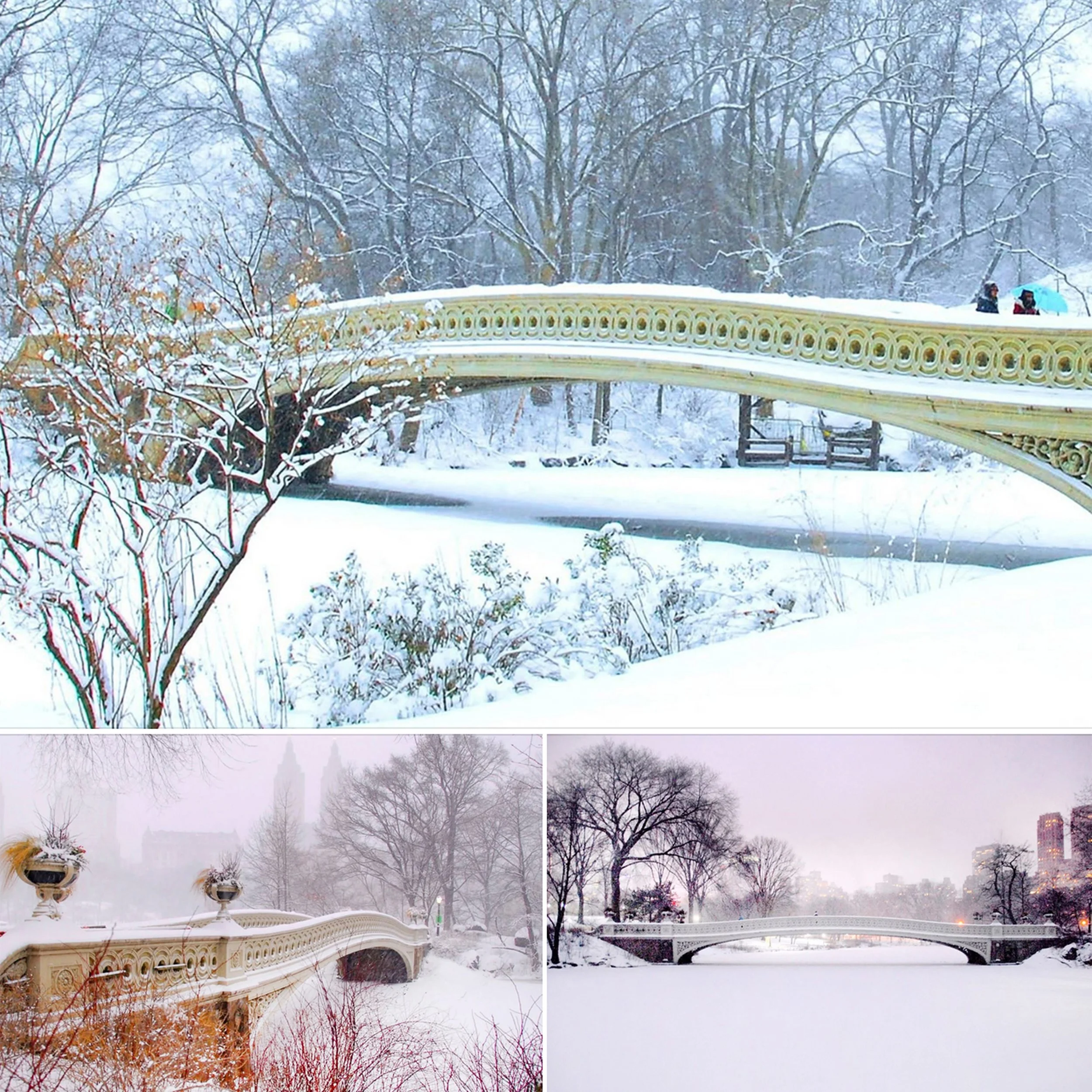 Screen Shot 10x10 MNY Snow Bow Bridge 2026-01-29 at 2.10.38 PM copy.jpg