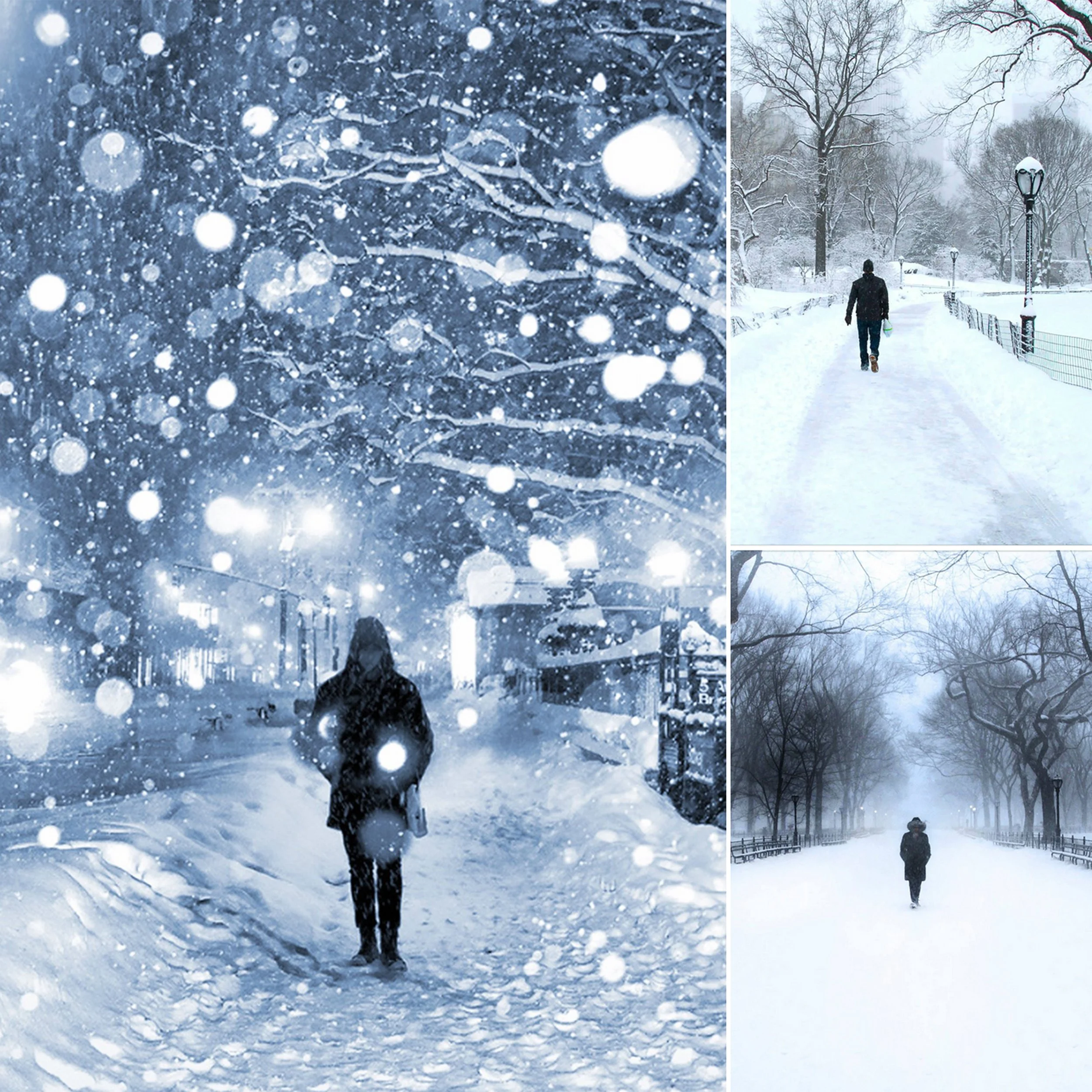 Screen Shot 10x10 NY Snow CP 2026-02-02 at 1.53.51 PM copy.jpg