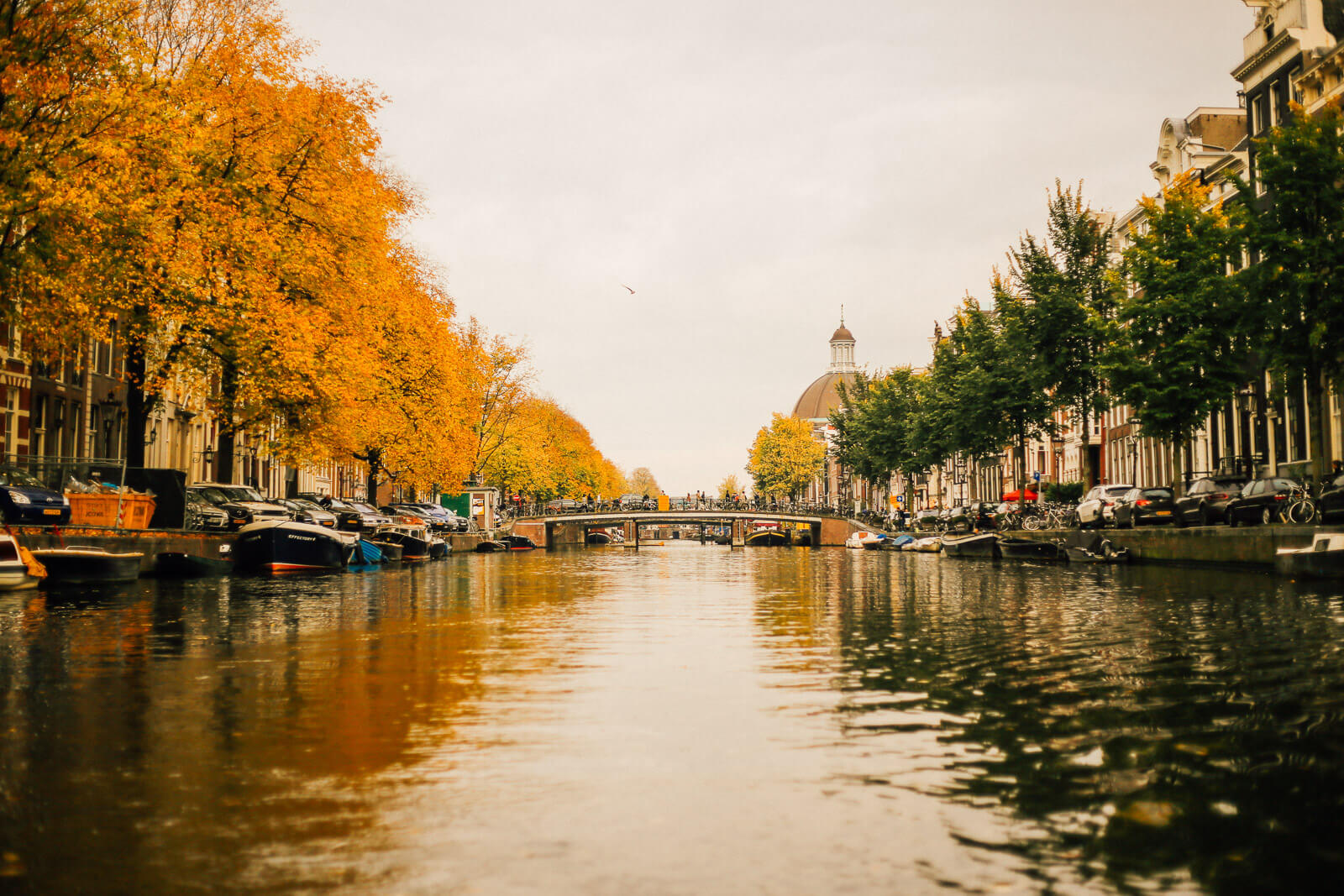 0718_PLACES_WEB-3.jpg