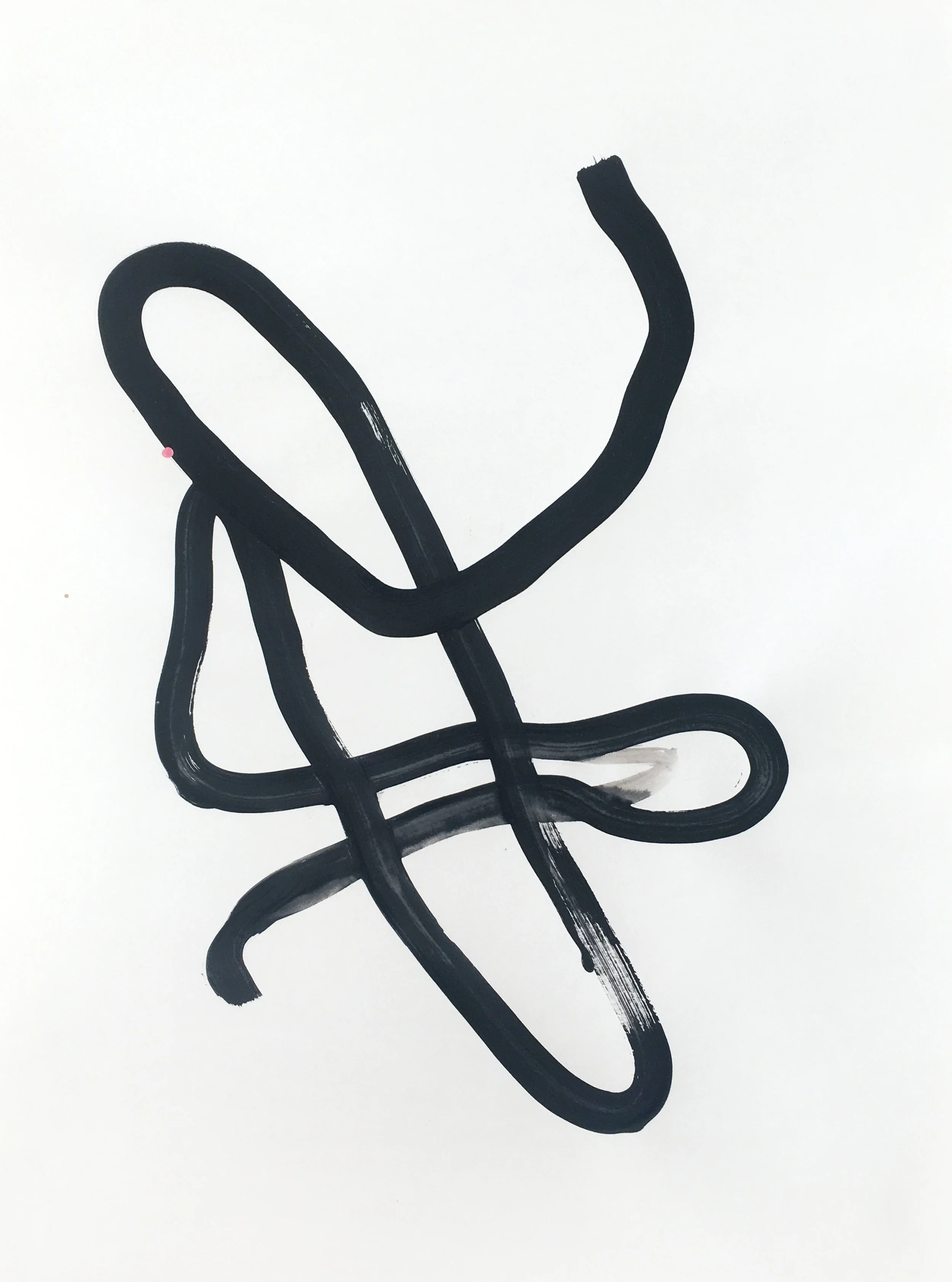 black knot crop.jpg