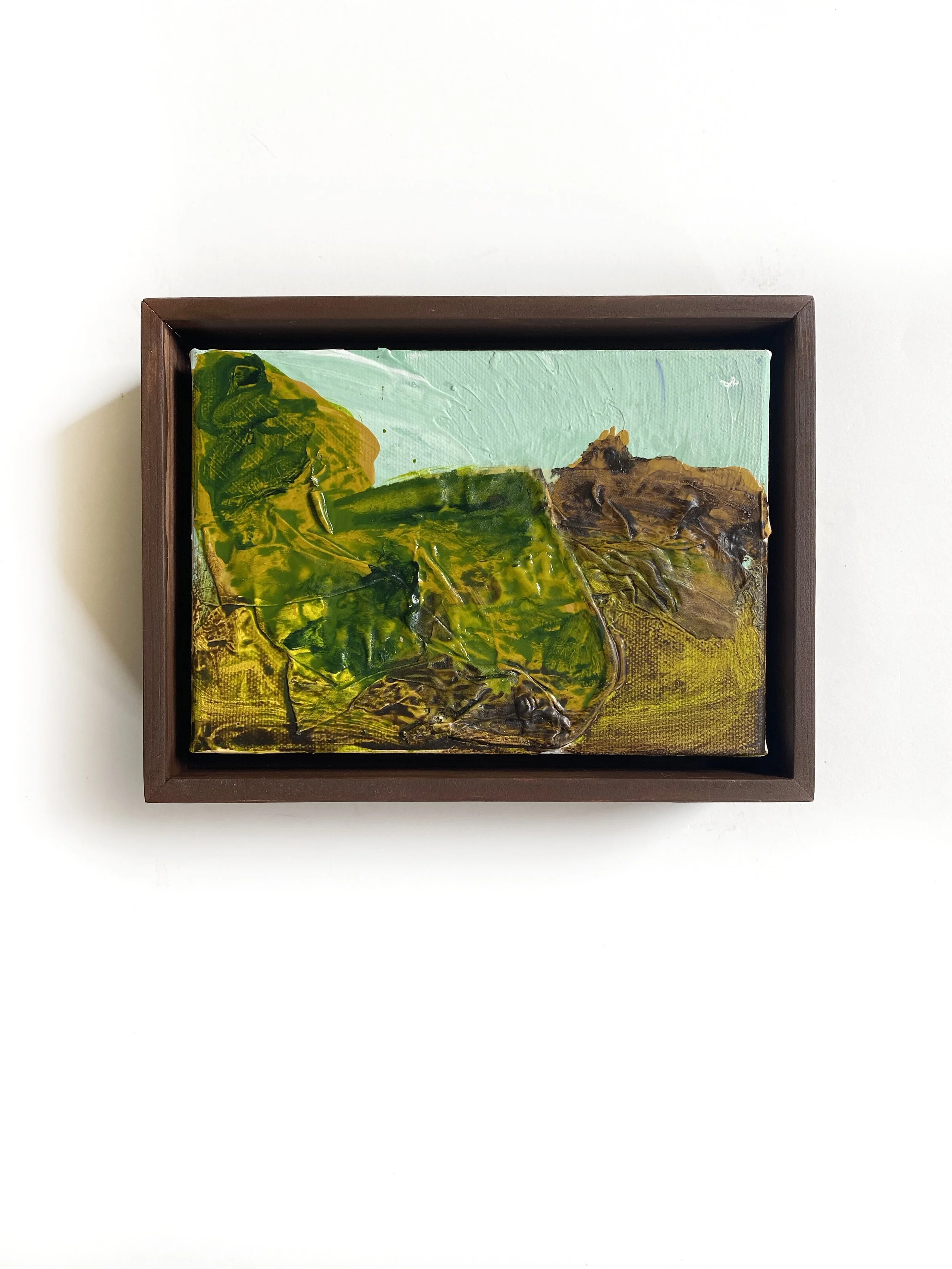 sunny-field-mini-jessalin-beutler.jpg